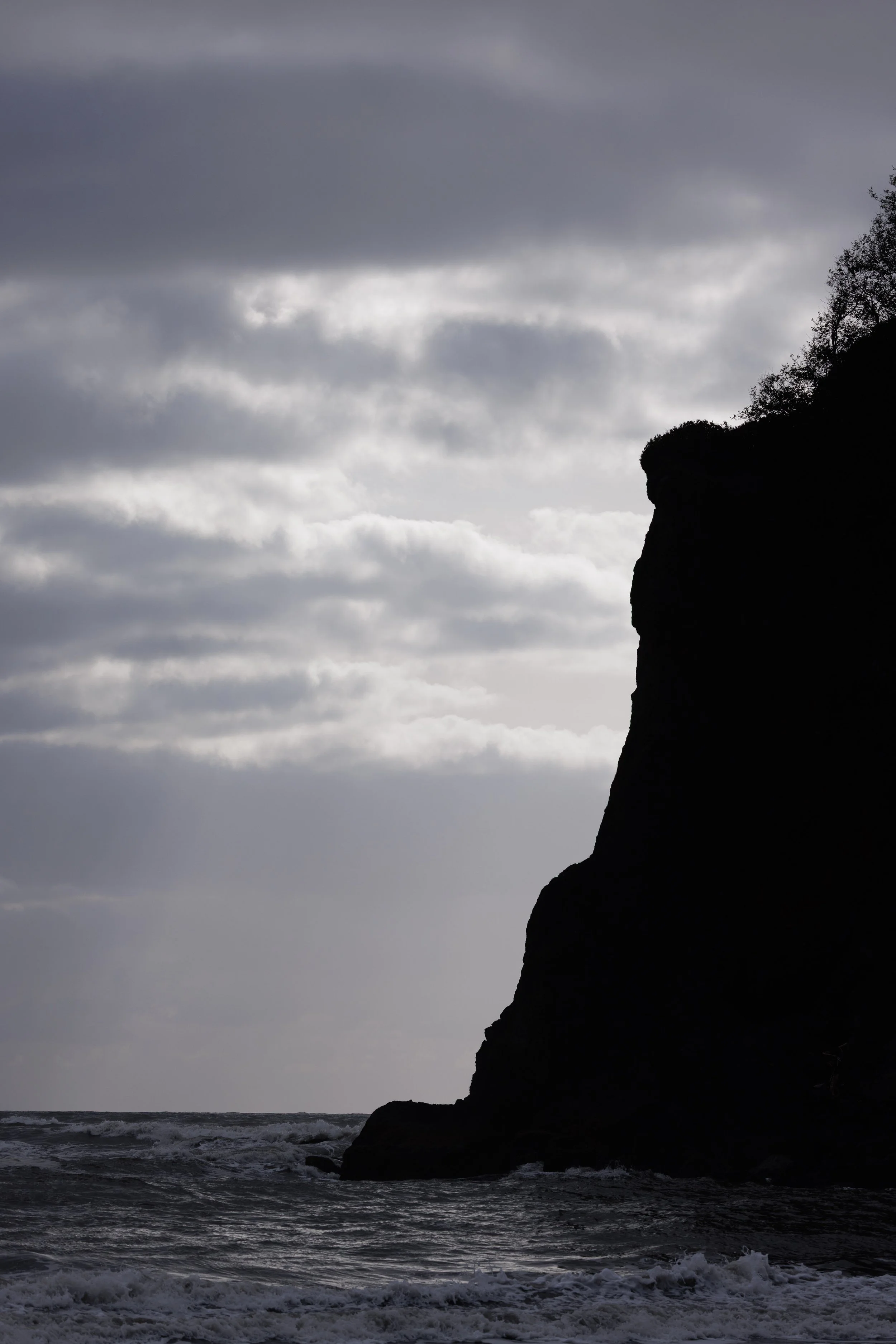 WebsiteLandscape-1-14.jpg