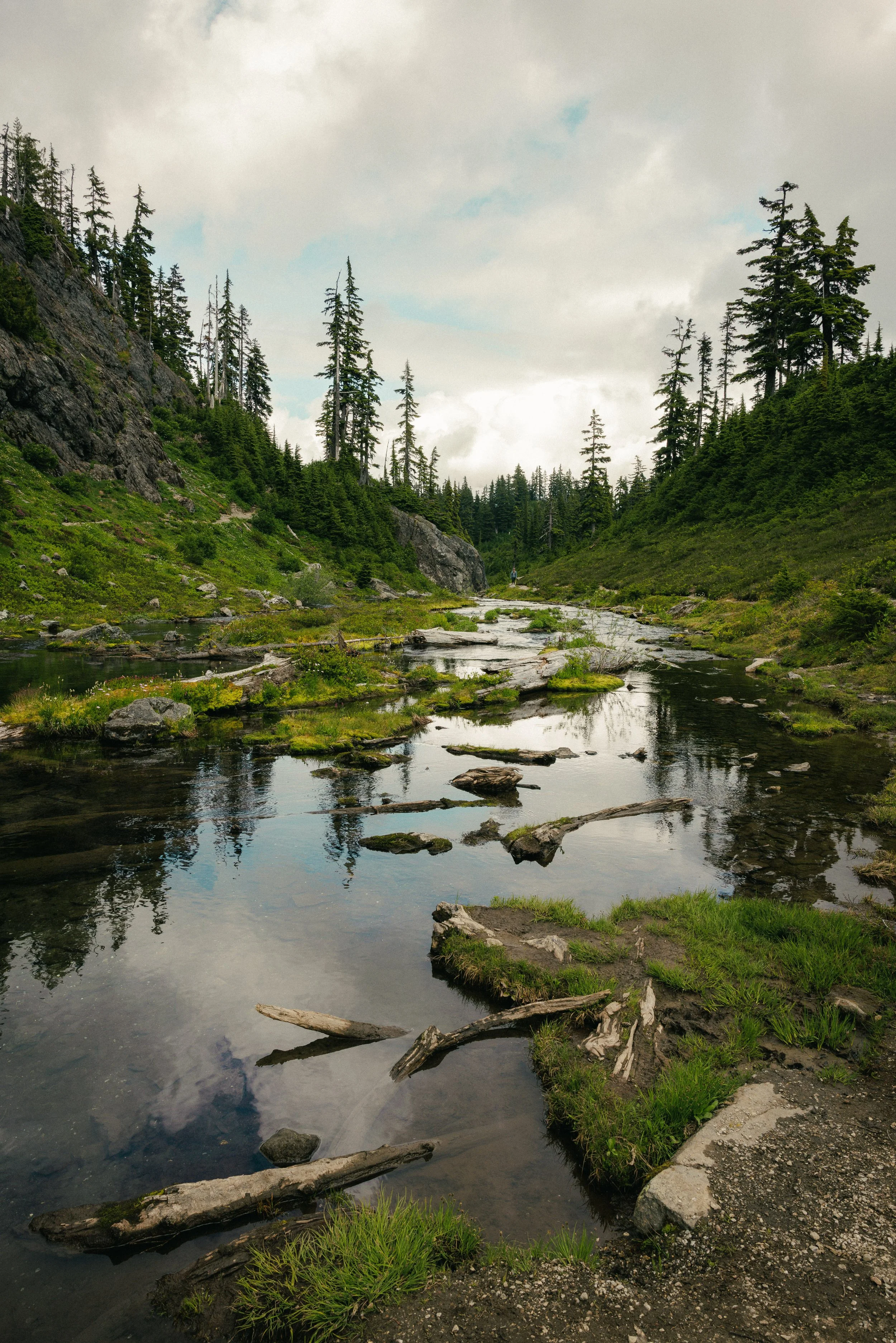 WebsiteLandscape-1-3.jpg