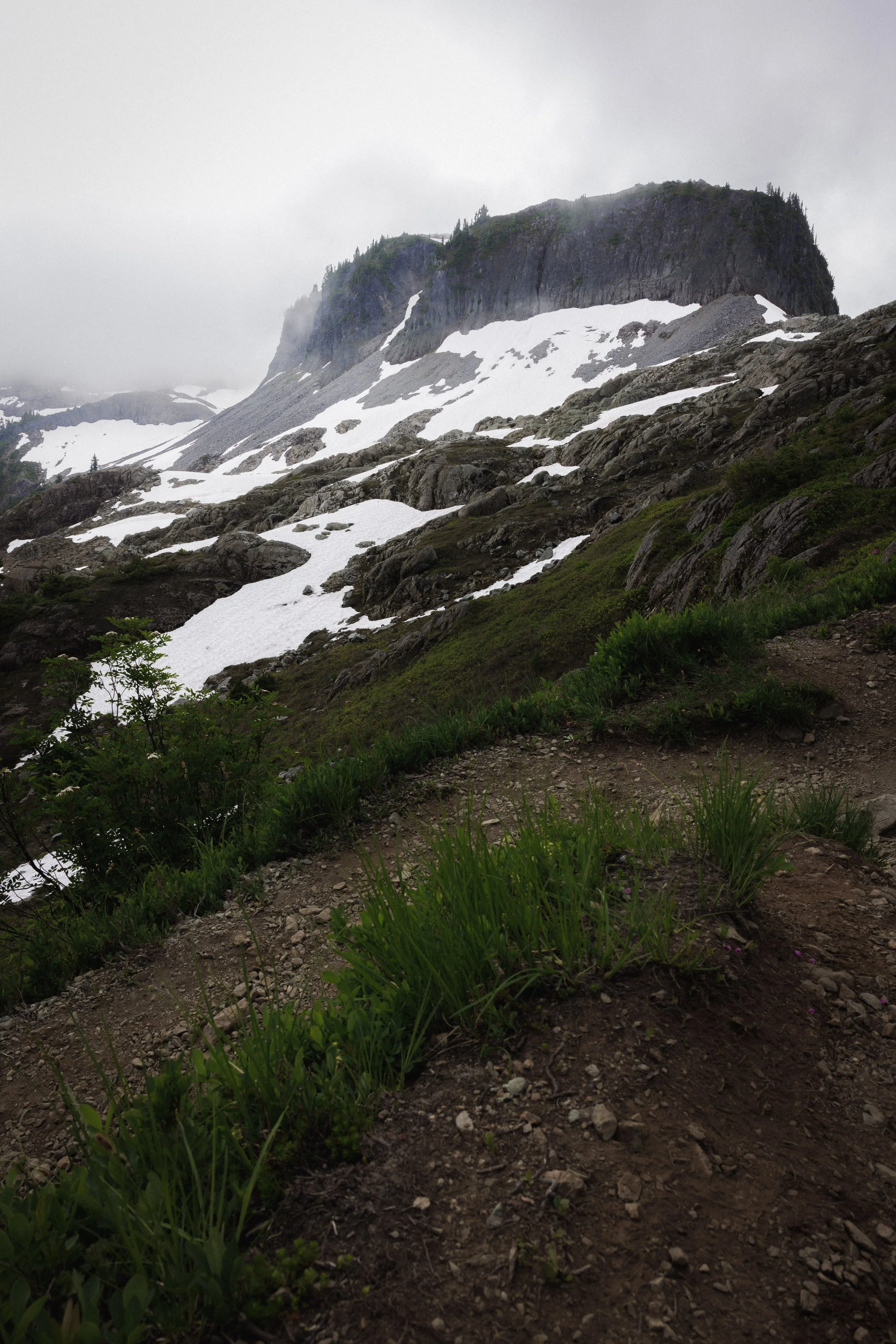 WebsiteLandscape-1-1.jpg
