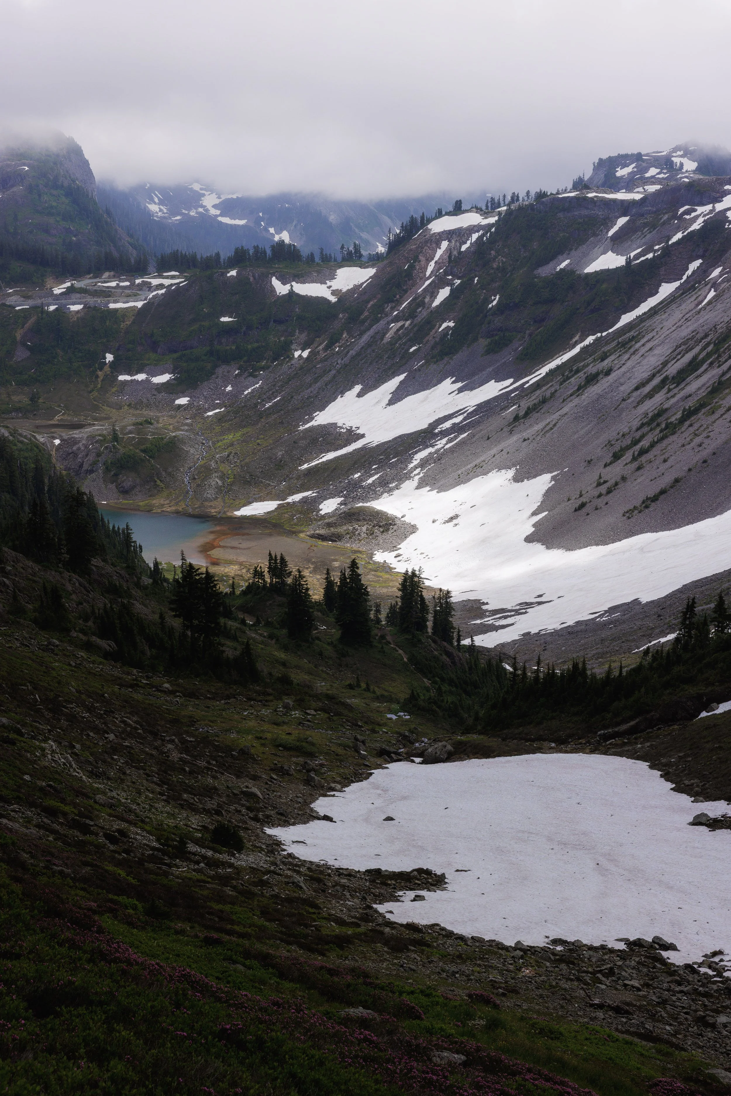 WebsiteLandscape-1-2.jpg