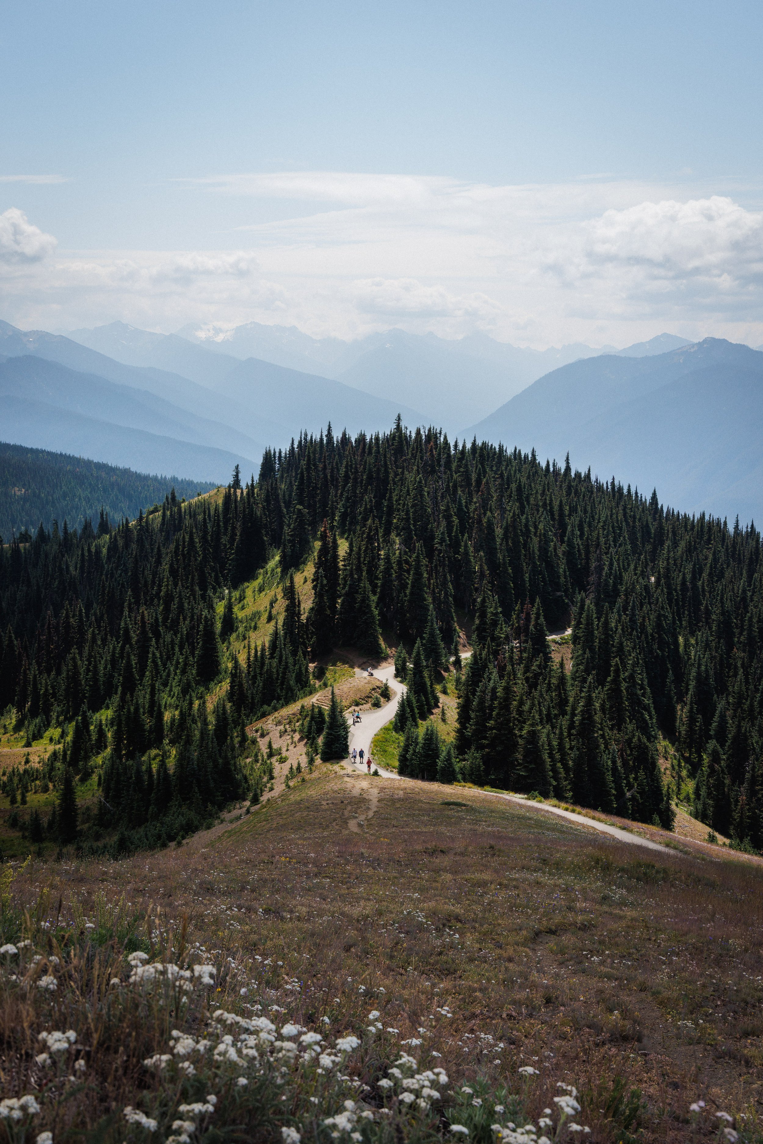 WebsiteLandscape-1-1.jpg