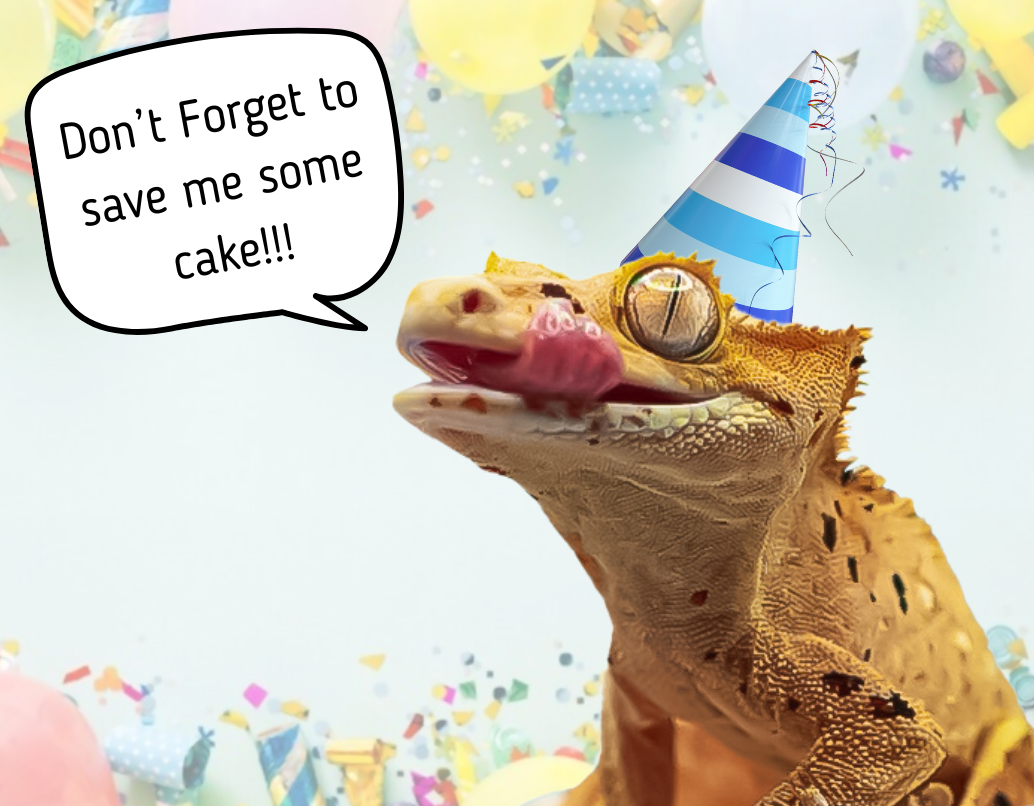 Your paragraph text.png