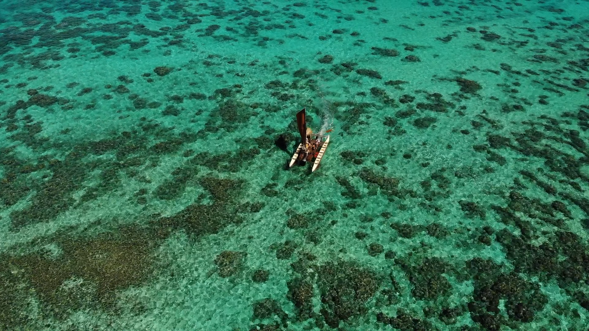 REEF 21.png