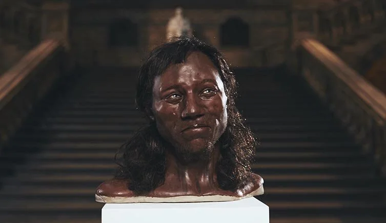 Une tête de sculpture en cire d'une femme, exposée sur un socle, avec des escaliers en bois en arrière-plan.
