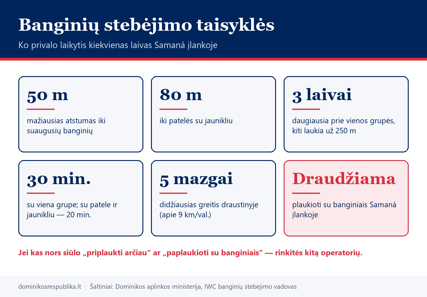 Banginių stebėjimo taisyklės Samaná įlankoje: atstumai, laivų skaičius ir laiko limitai