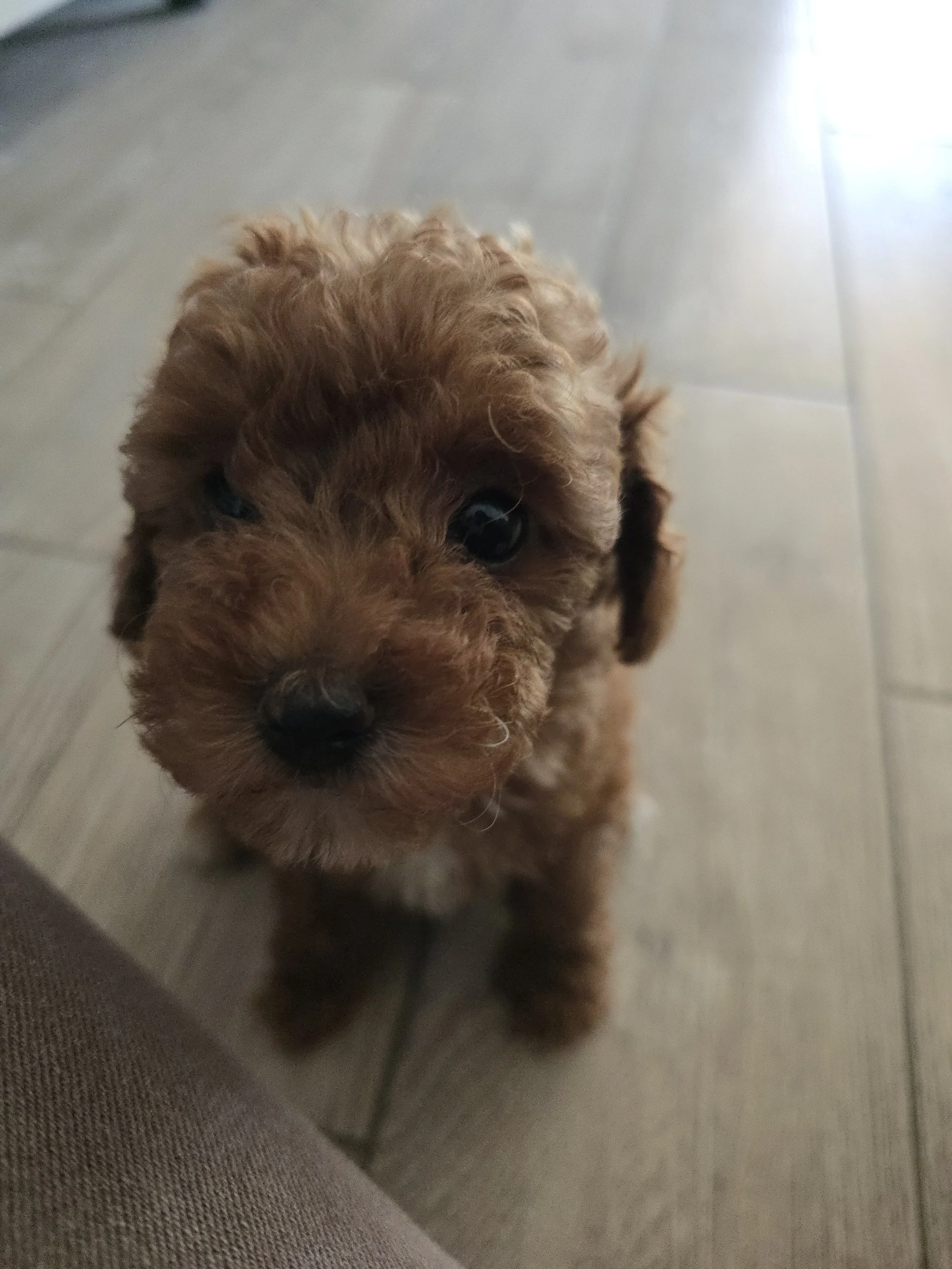 1000187546.jpg