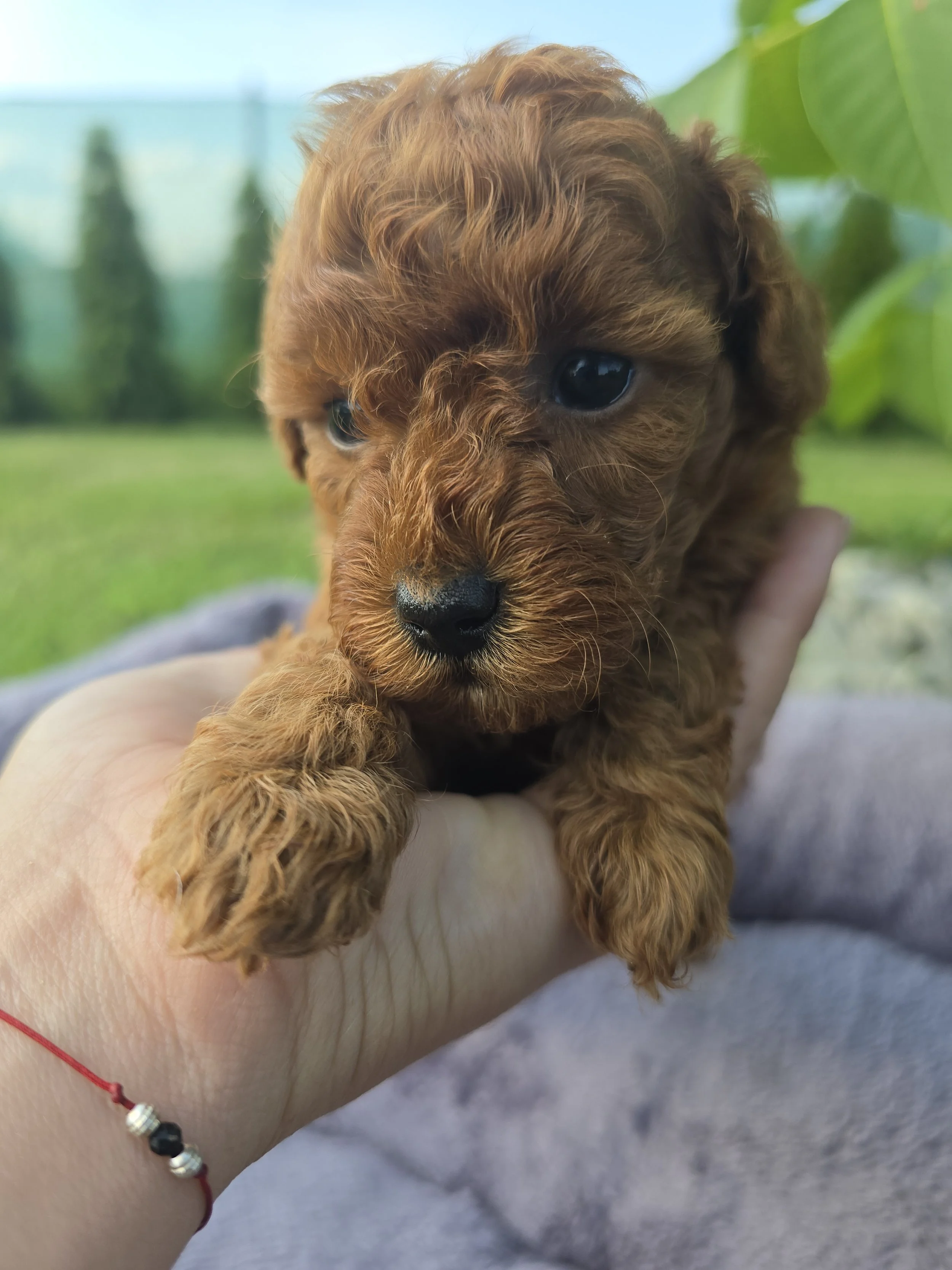1000166446.jpg