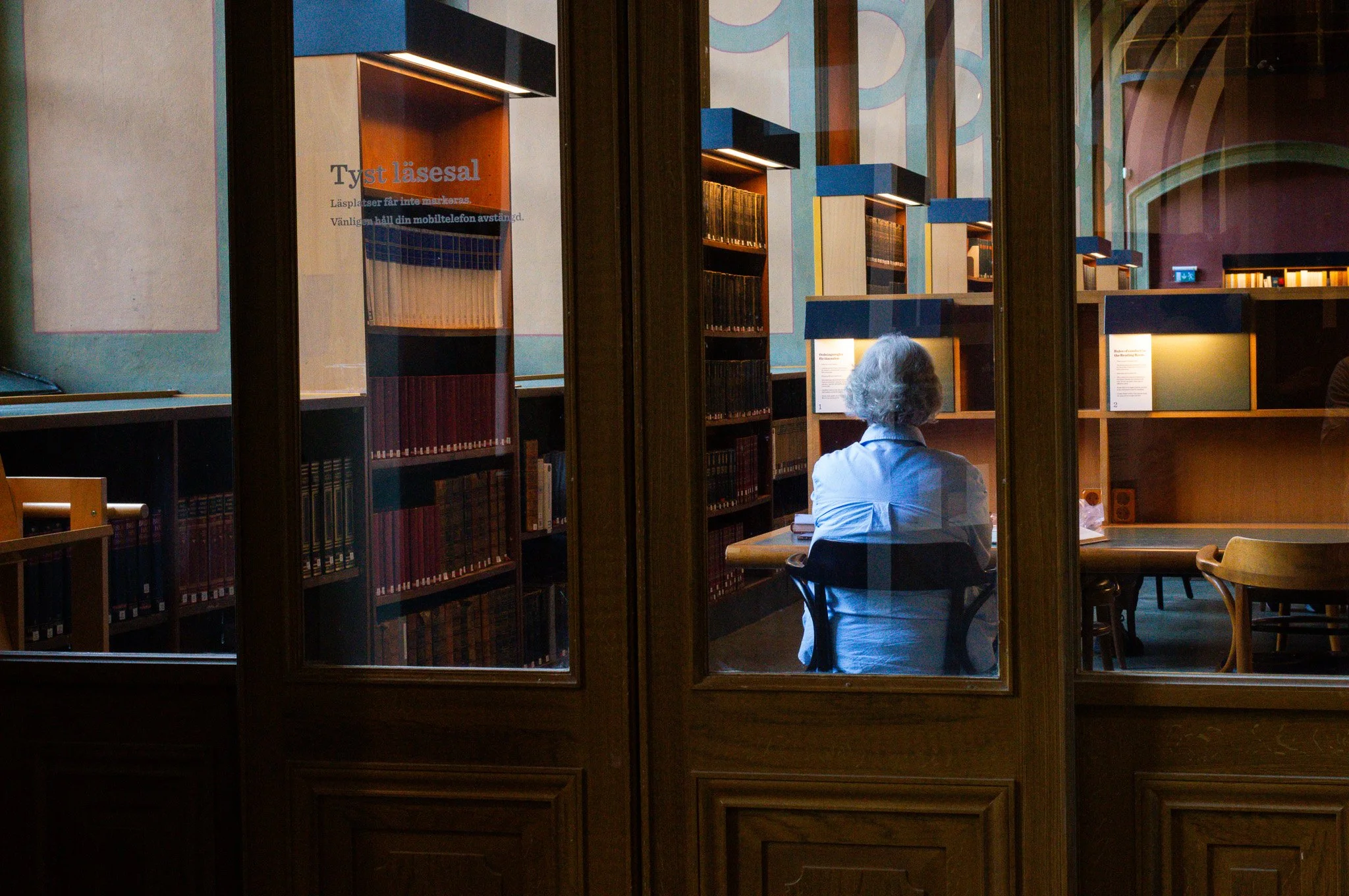 Lady in the Library