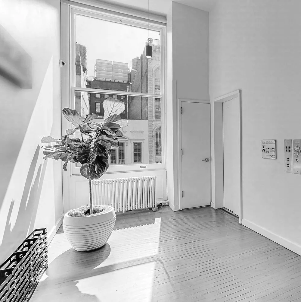 A black and white photo of an indoor space with a large window, a potted plant, a radiator, two doors, and some wall controls, with sunlight casting shadows on the floor.