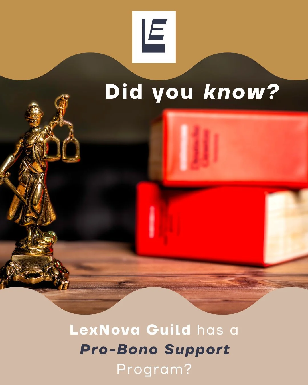 DID YOU KNOW? The LexNova Guild is committed to making a real impact beyond our member practices &ndash; by funding meaningful pro-bono legal work for the community. 

That&rsquo;s why we have a Pro-Bono Support Program.

How it works:
🤝 For every p