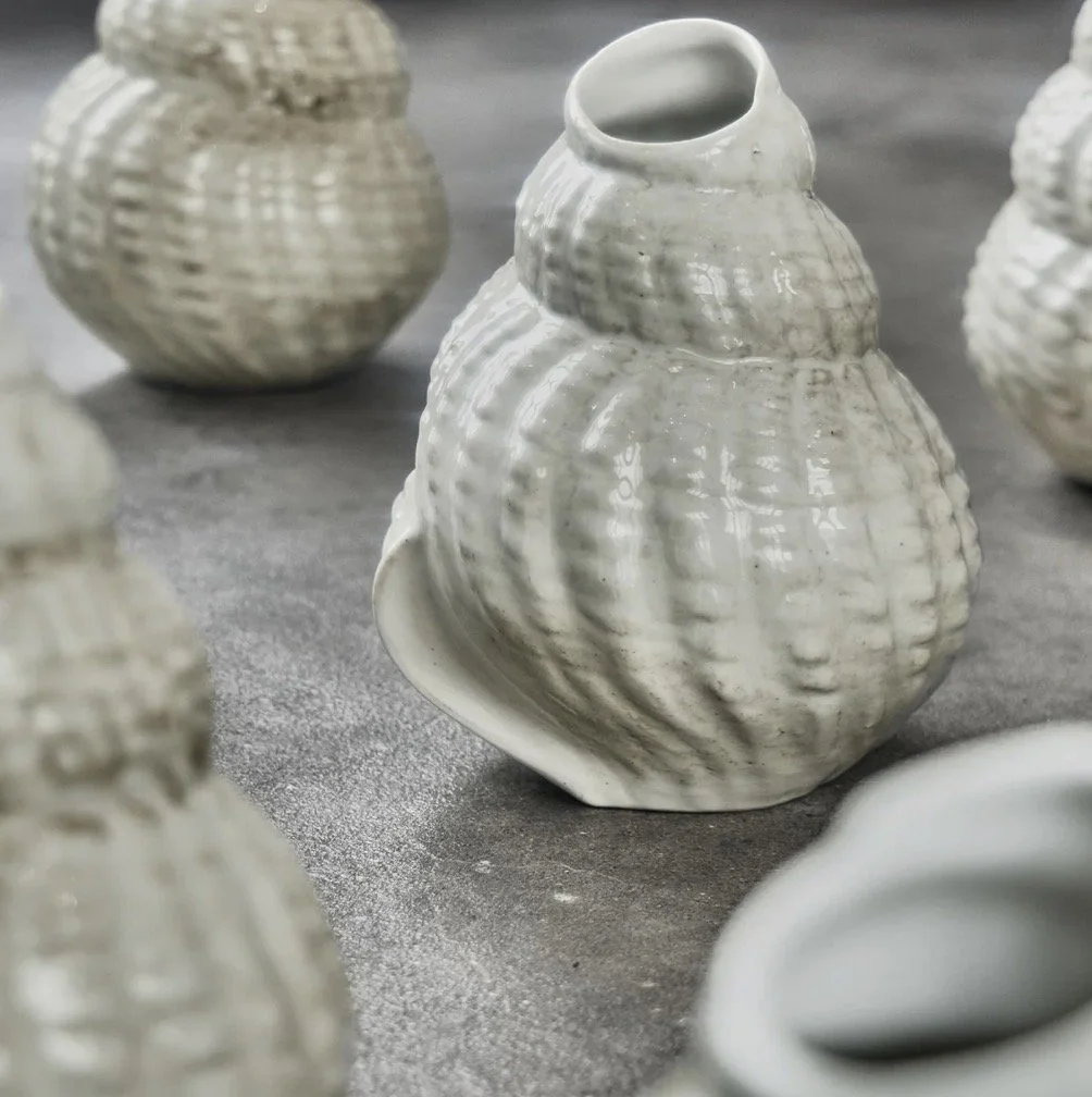 Konkylie Vase