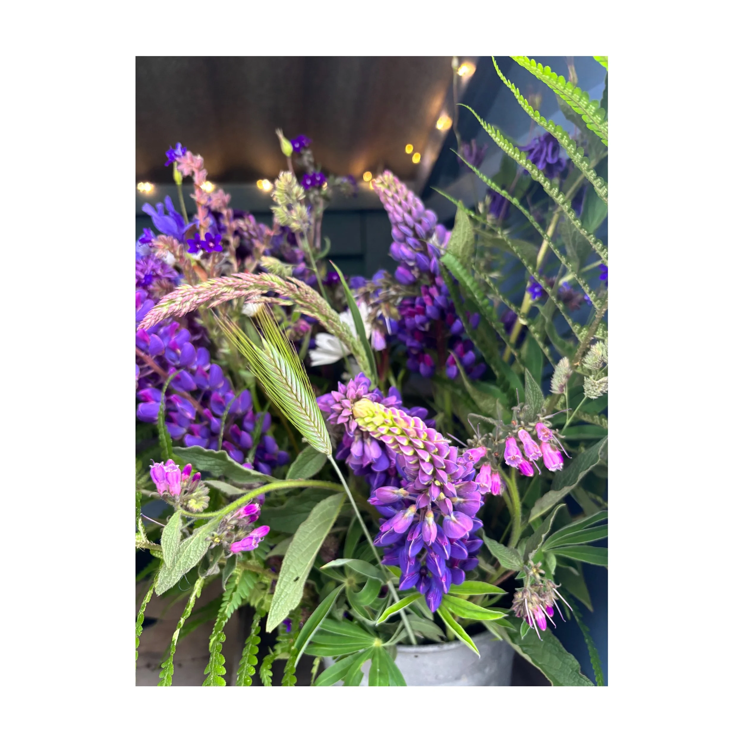 IMG_3431.jpeg