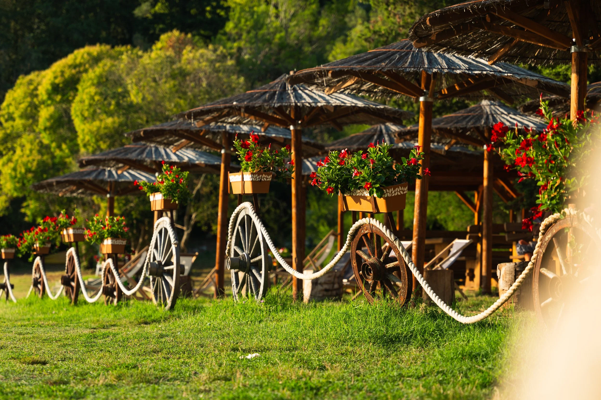 Strandkörbe mit Sonnenschirmen und Blumentöpfen auf grünem Rasen in einer natürlichen Umgebung bei Sonnenuntergang.