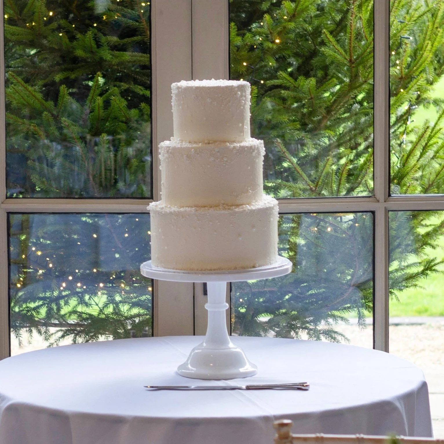 A three-tier white wedding cake with textured icing, placed on a white cake stand on a round table with a white tablecloth, in front of window with green trees outside.