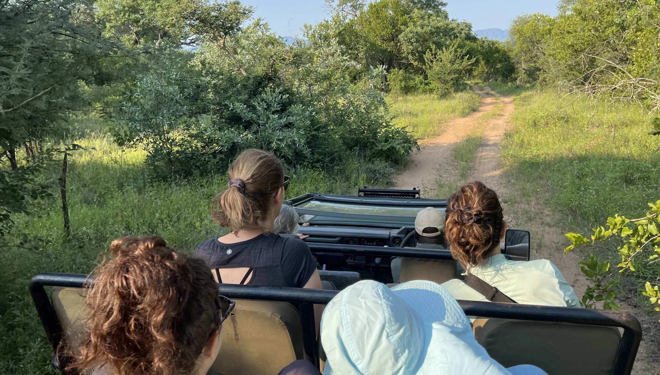 Indlovu - bush drive 2.JPG