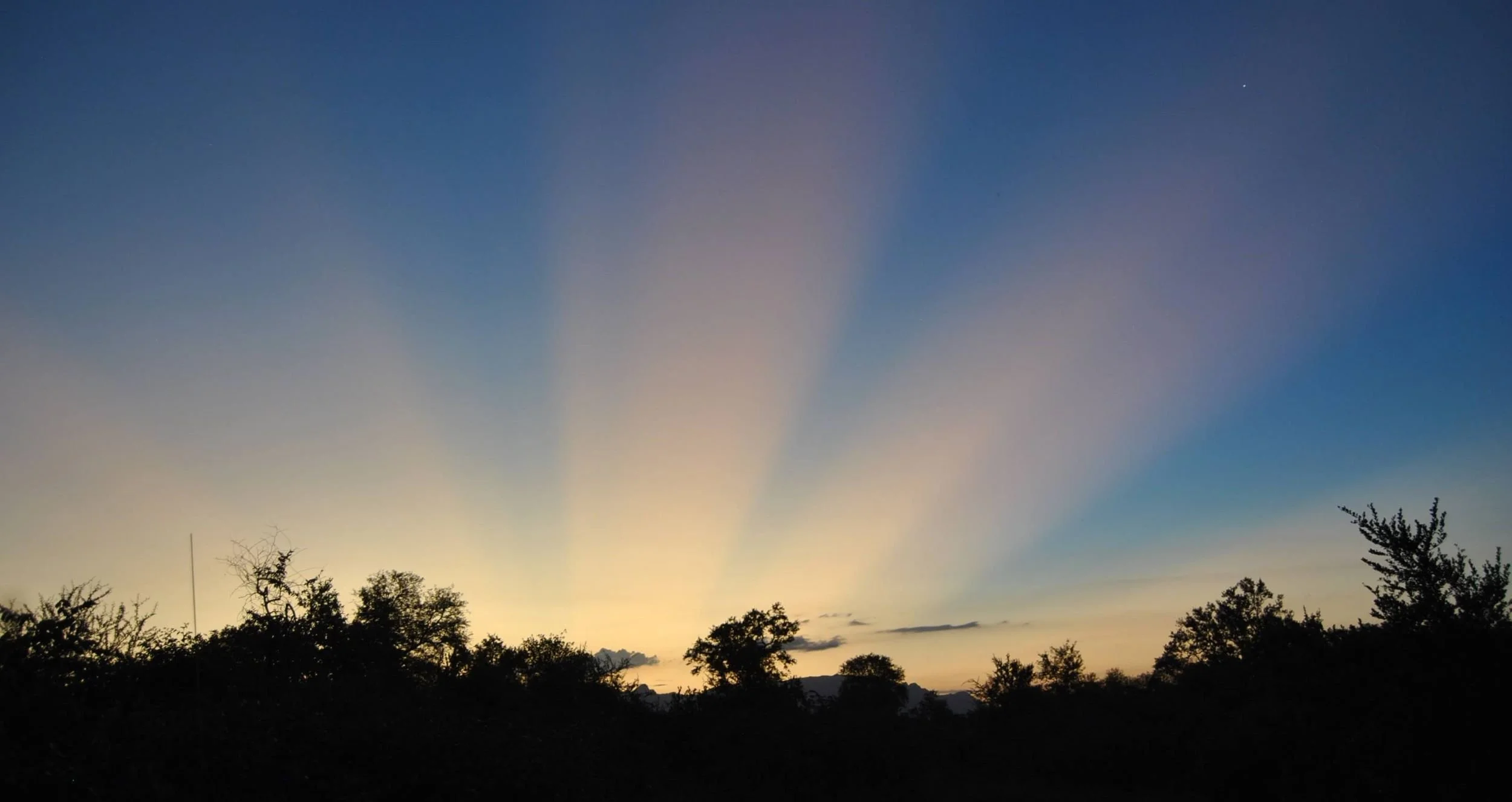 Indlovu - morning rays.JPG