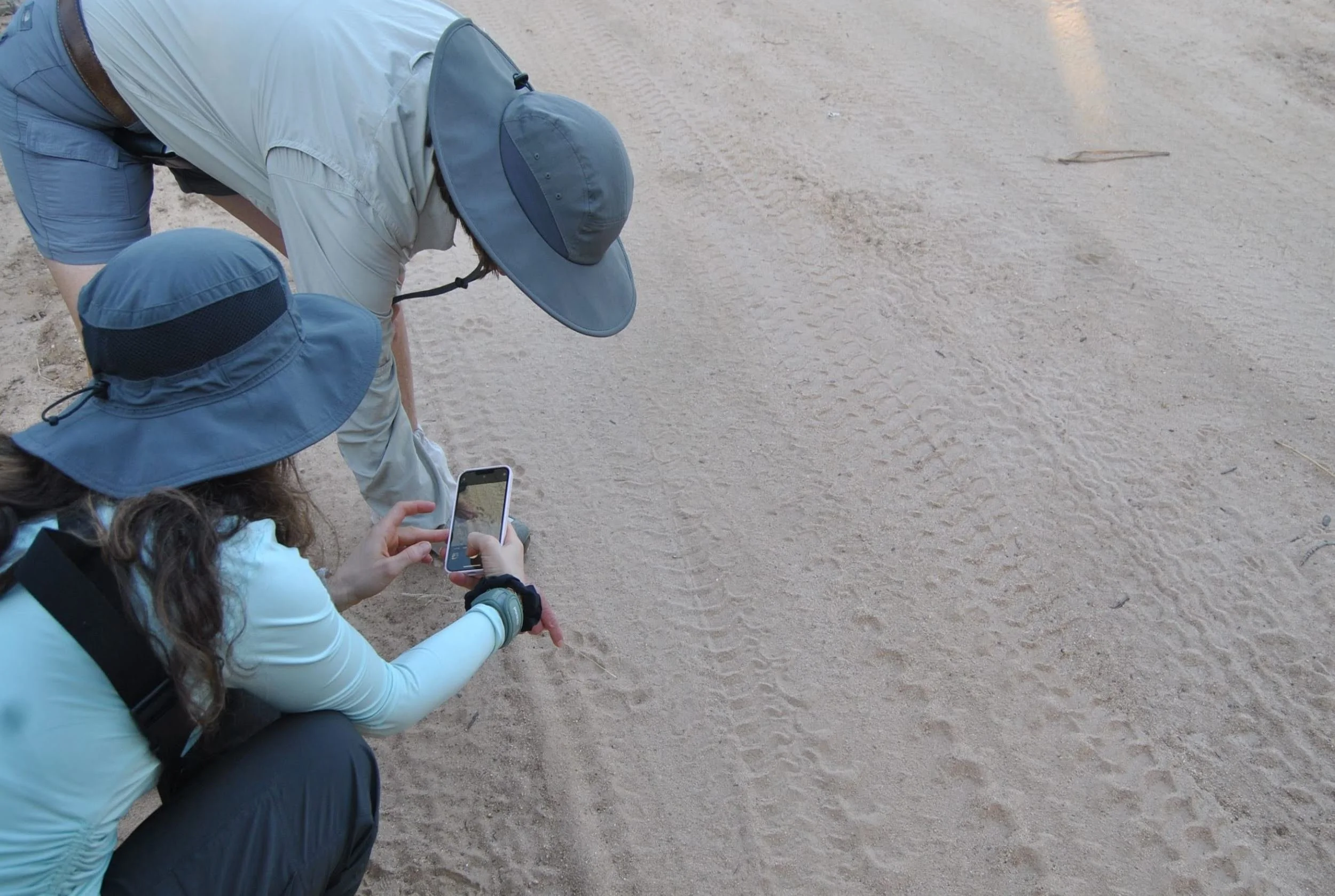 Indlovu - Tracks.JPG