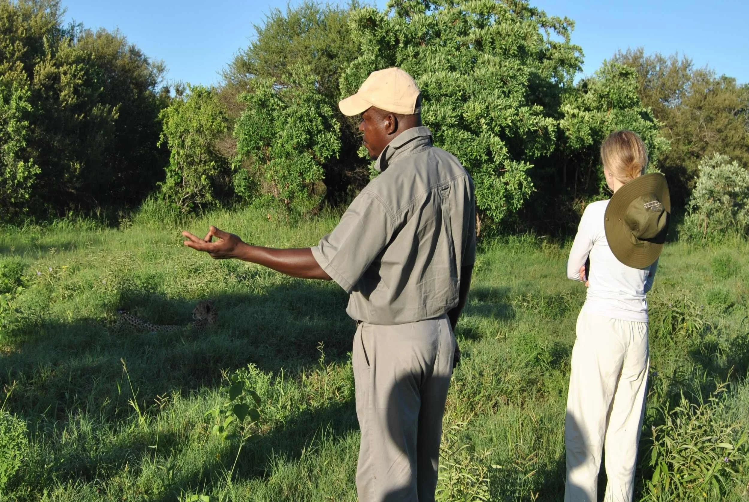 Indlovu - Obvious.JPG