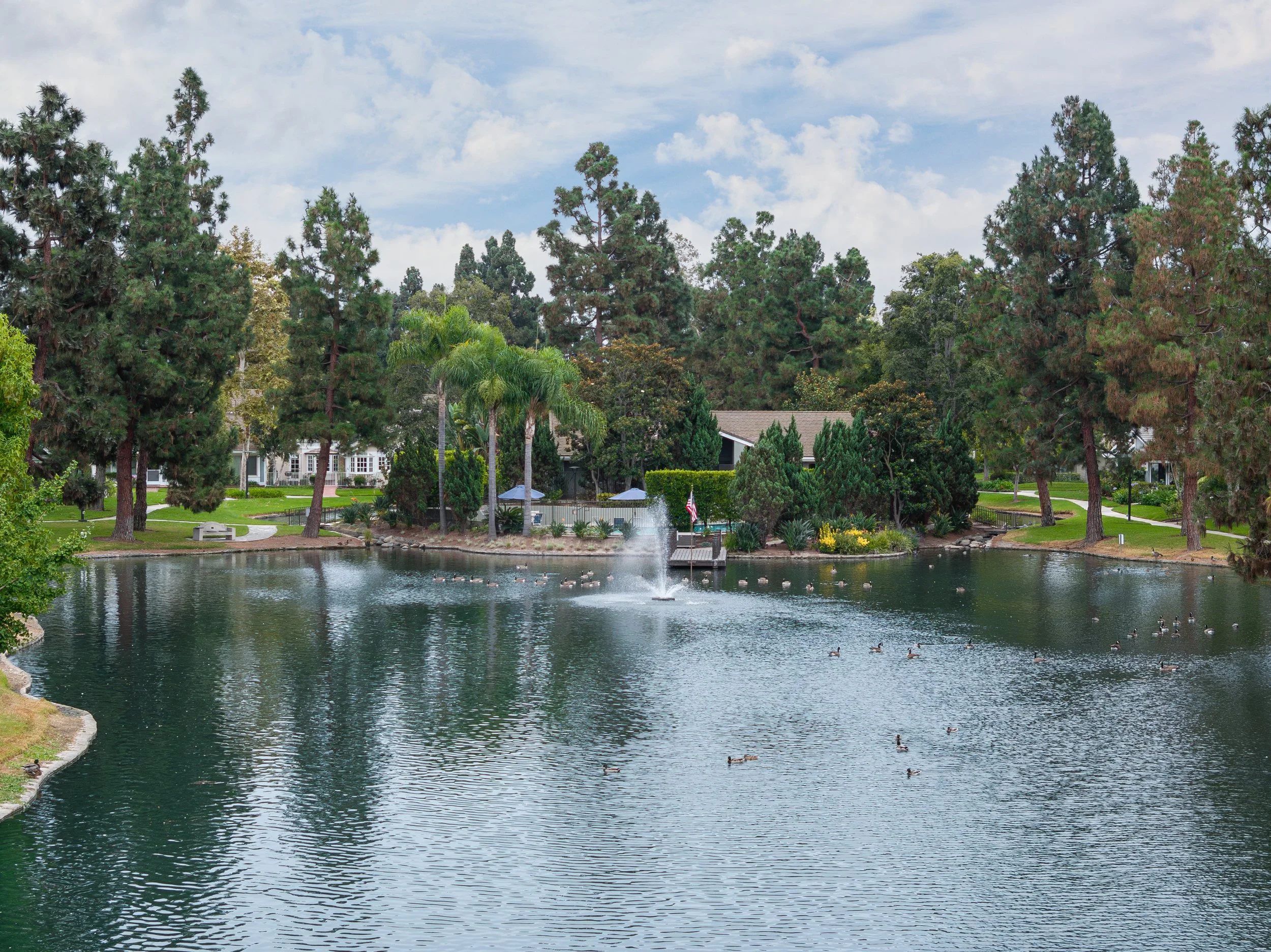 1916 Bay Crest St MLS-42.jpg