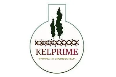 Kelprime final workshop
