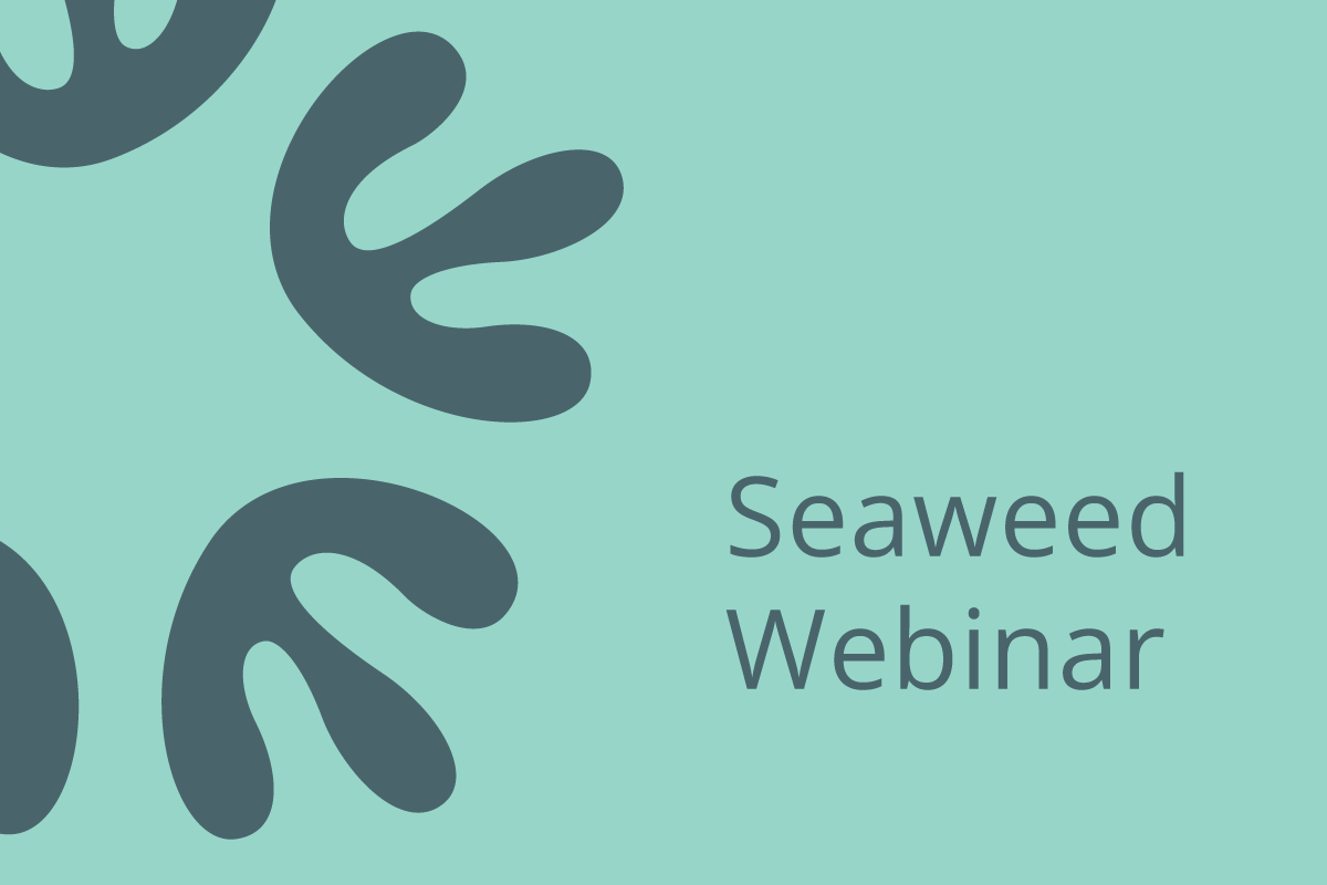 Seaweed webinar