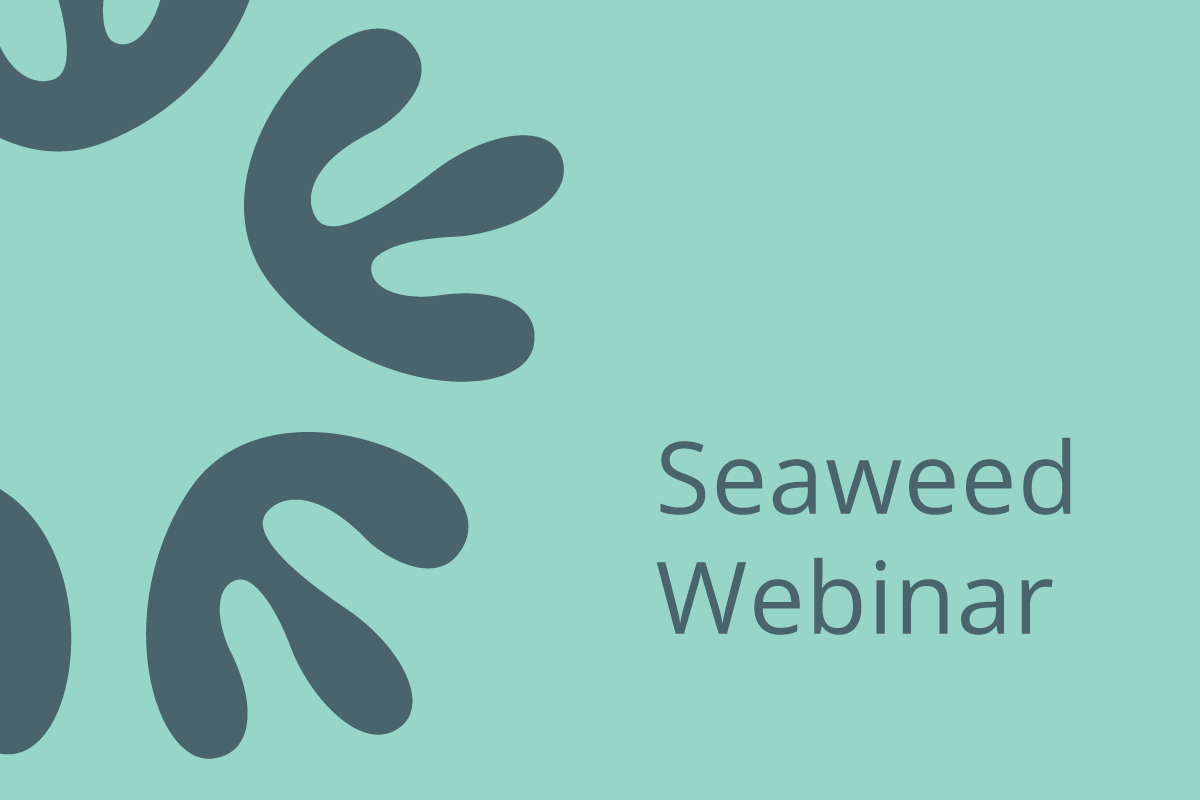 Seaweed webinar