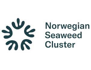 NSC klyngesamling
