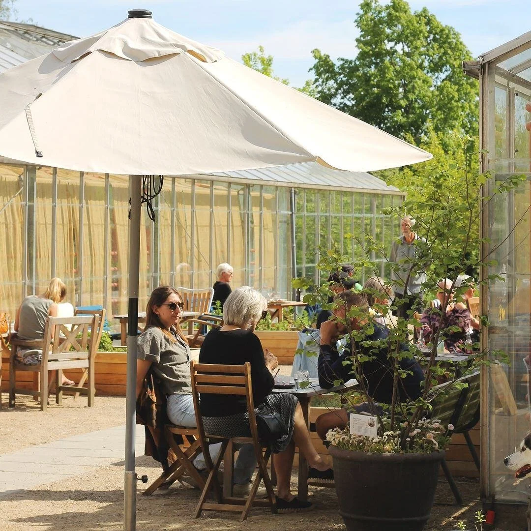 Udendørs café med flere personer, grønne træer, en stor hvid parasol, planter i krukker, glas- og træborde og -stole under solen.