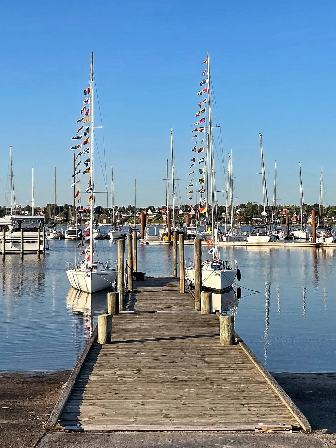 Båd liggende ved en træbro i en marina med flere andre både i baggrunden under en klar blå himmel.
