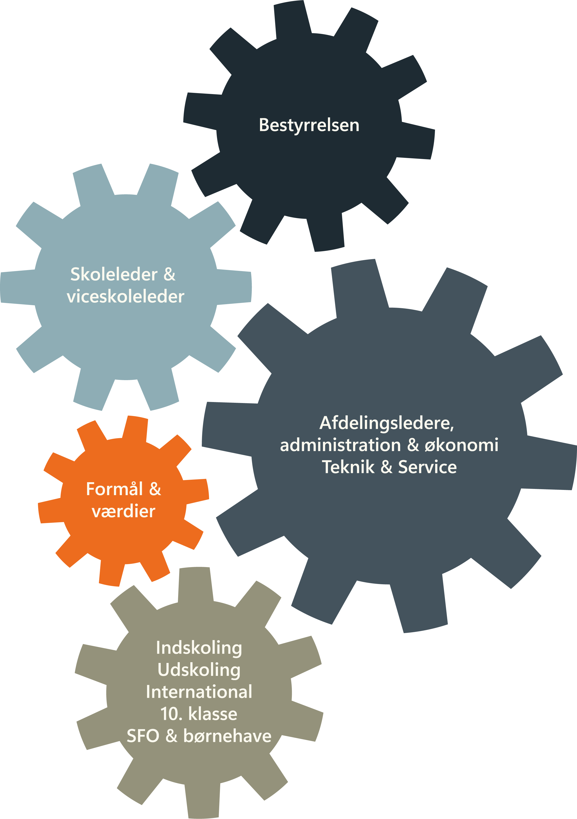 Grafisk organisationsplan for Skt. Josefs Skole