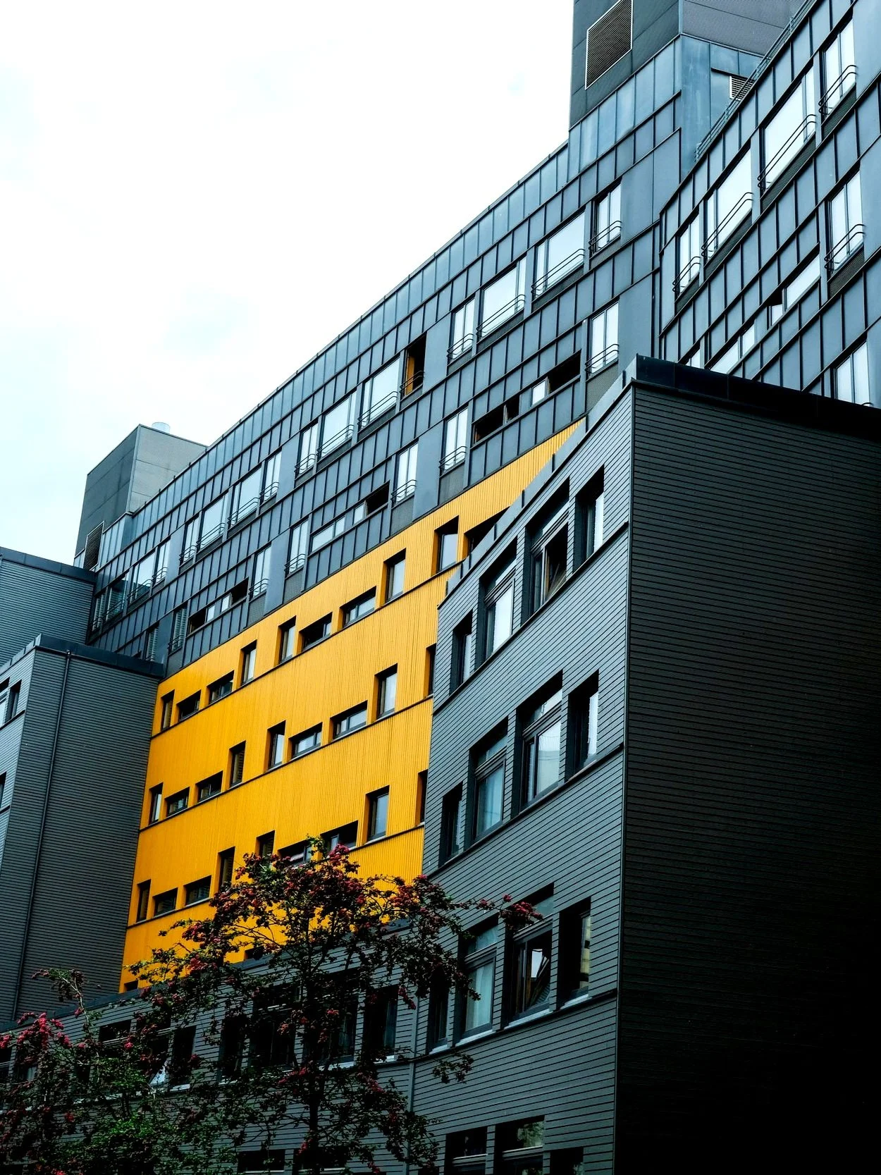 ANKERLØKKA