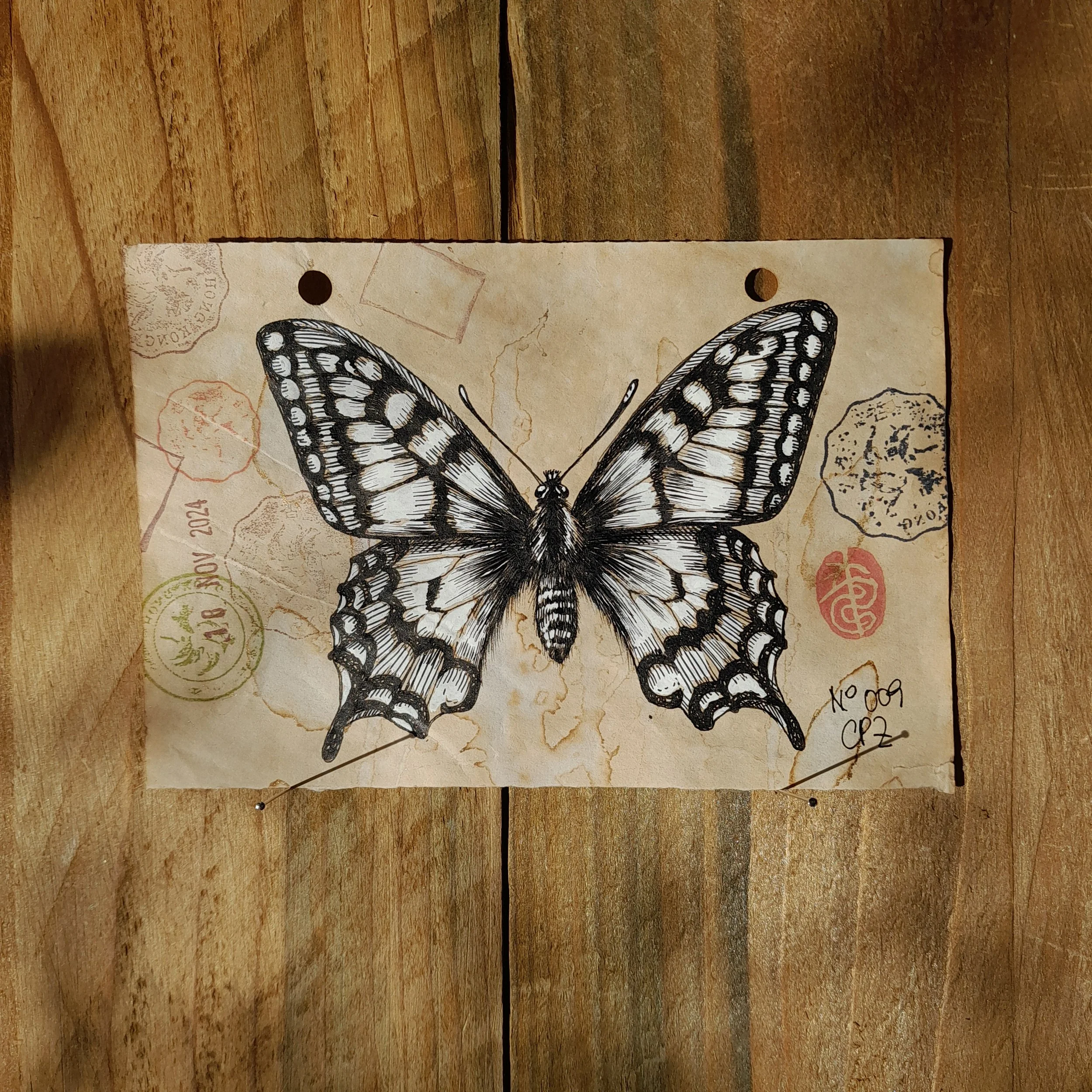Papilio Machaon #009