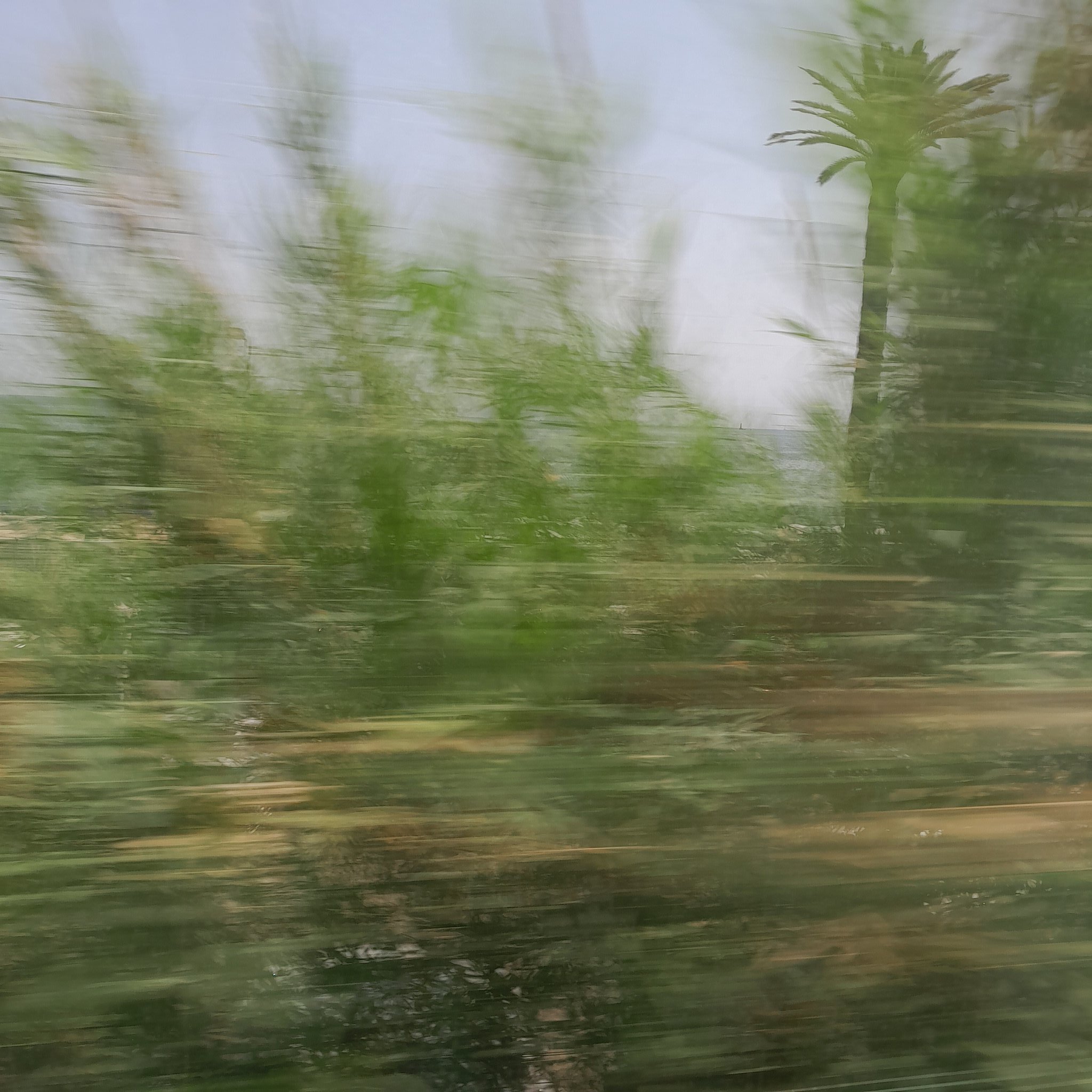 20250416_121236.jpg
