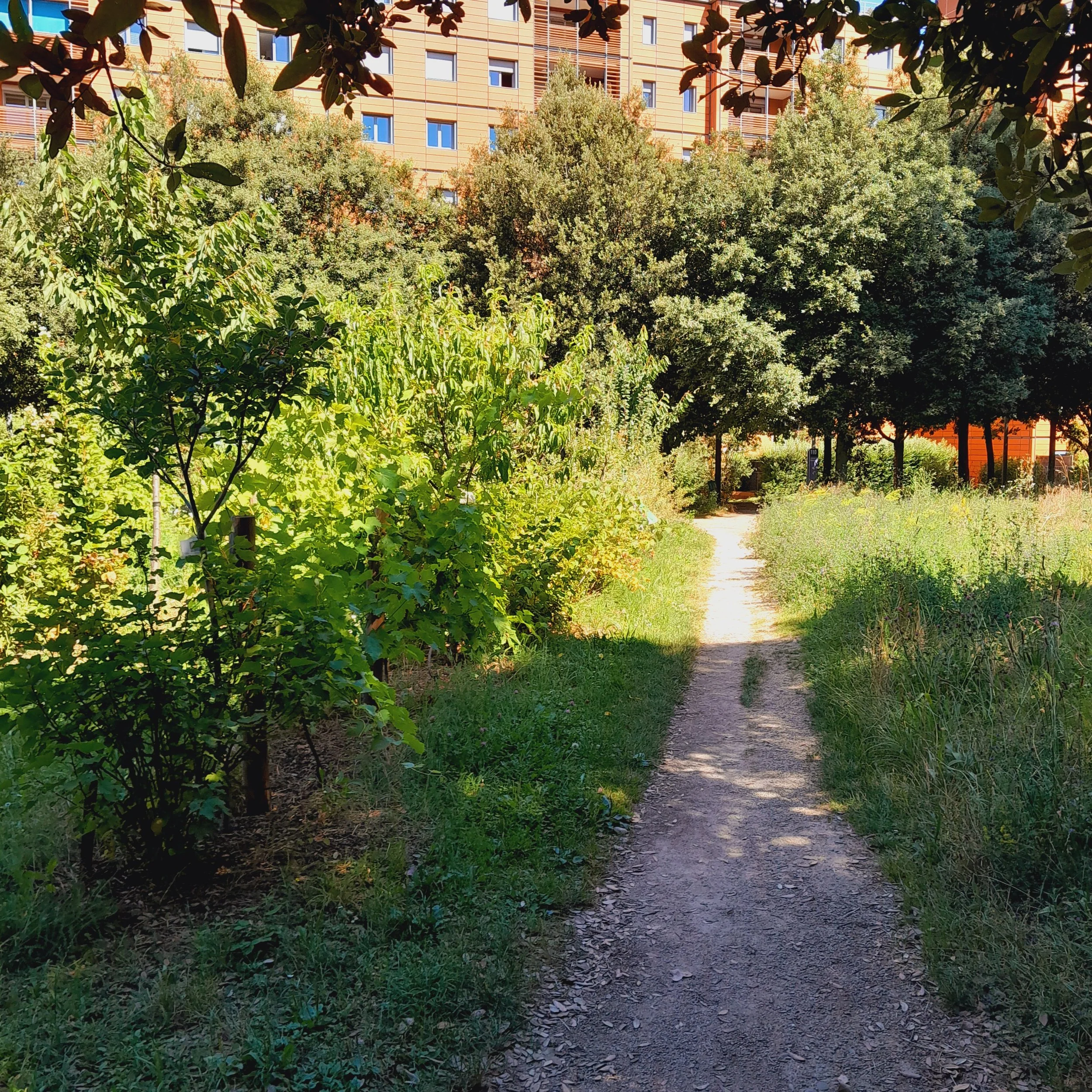 20240709_111645.jpg