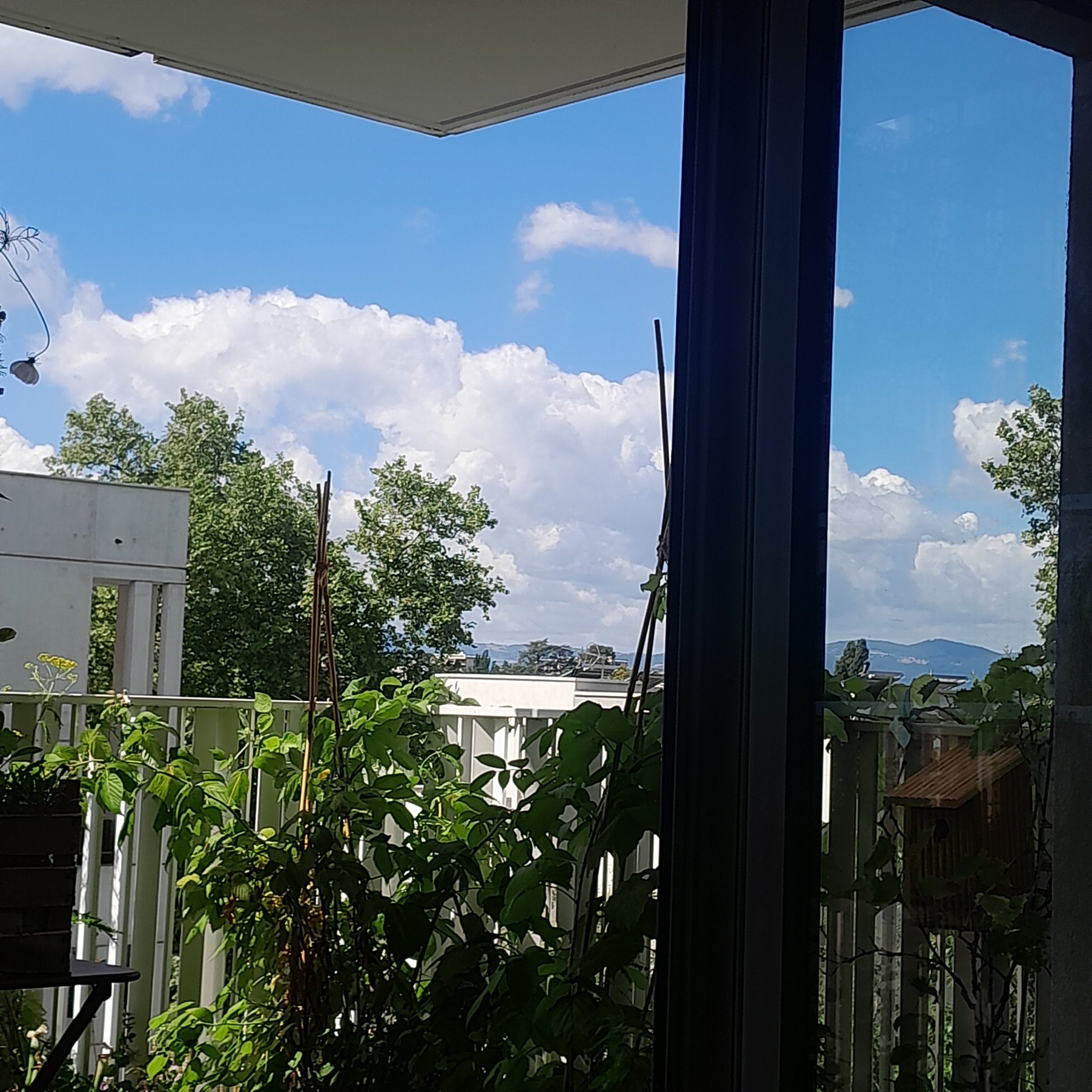 20250721_112305.jpg