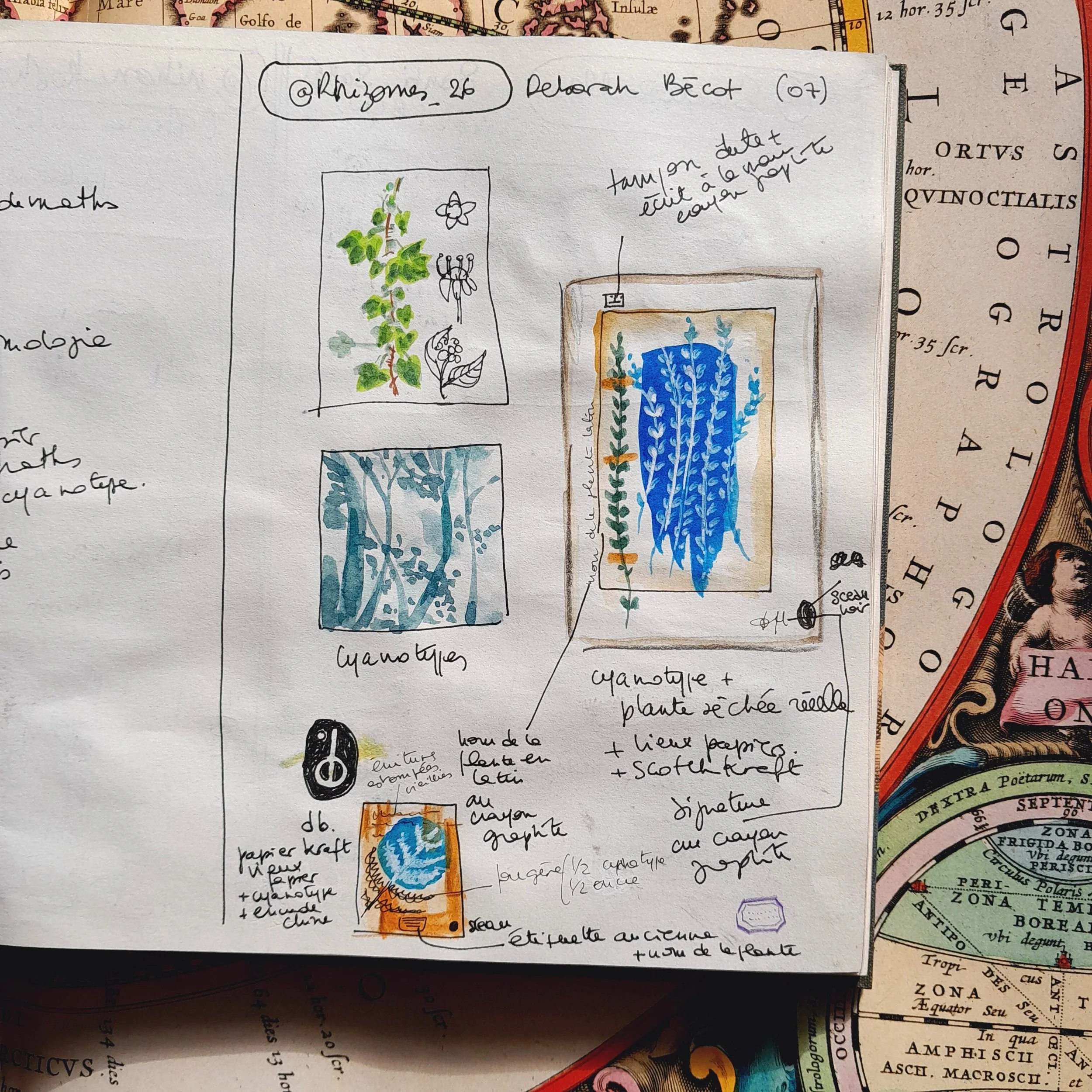 @Rhizomes_26/Déborah Bécot