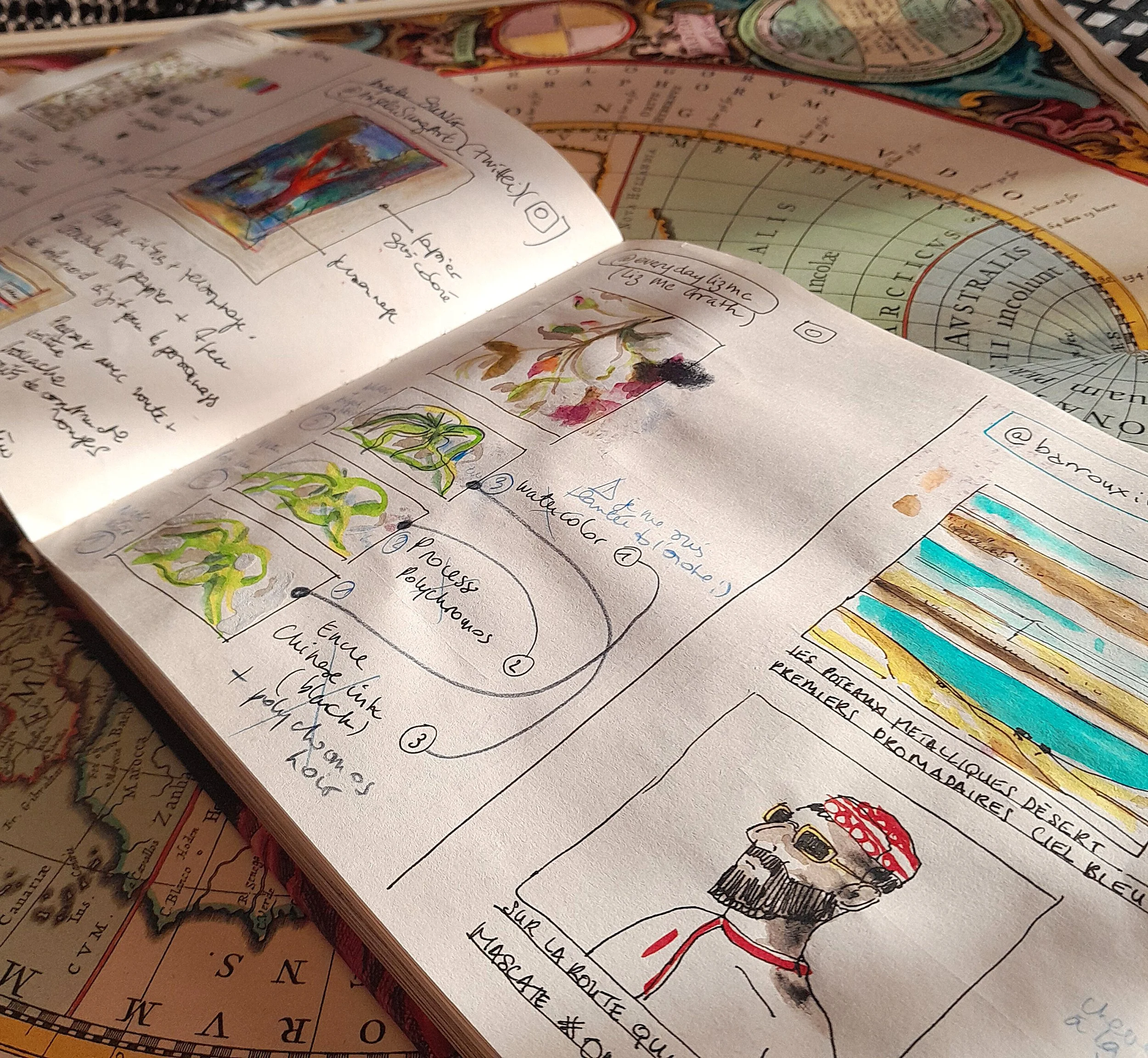 @barrouxillustrations (détails)