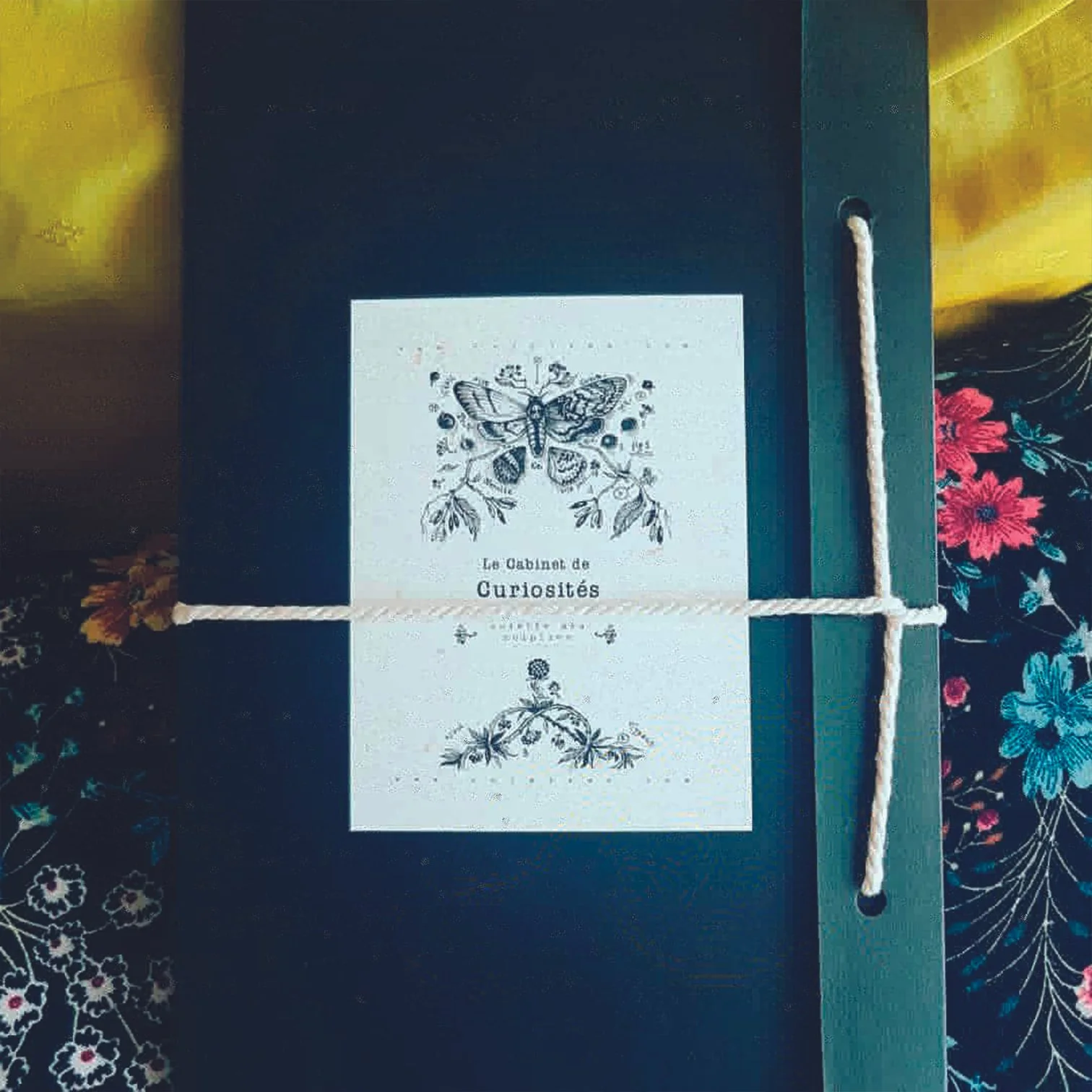 PUB insektober 02 cabdecu.jpg