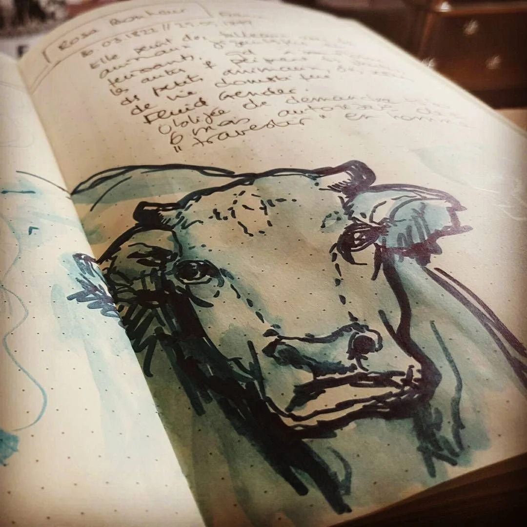 LIVESKETCHING ARTE SKETCHBOOK 05.jpg