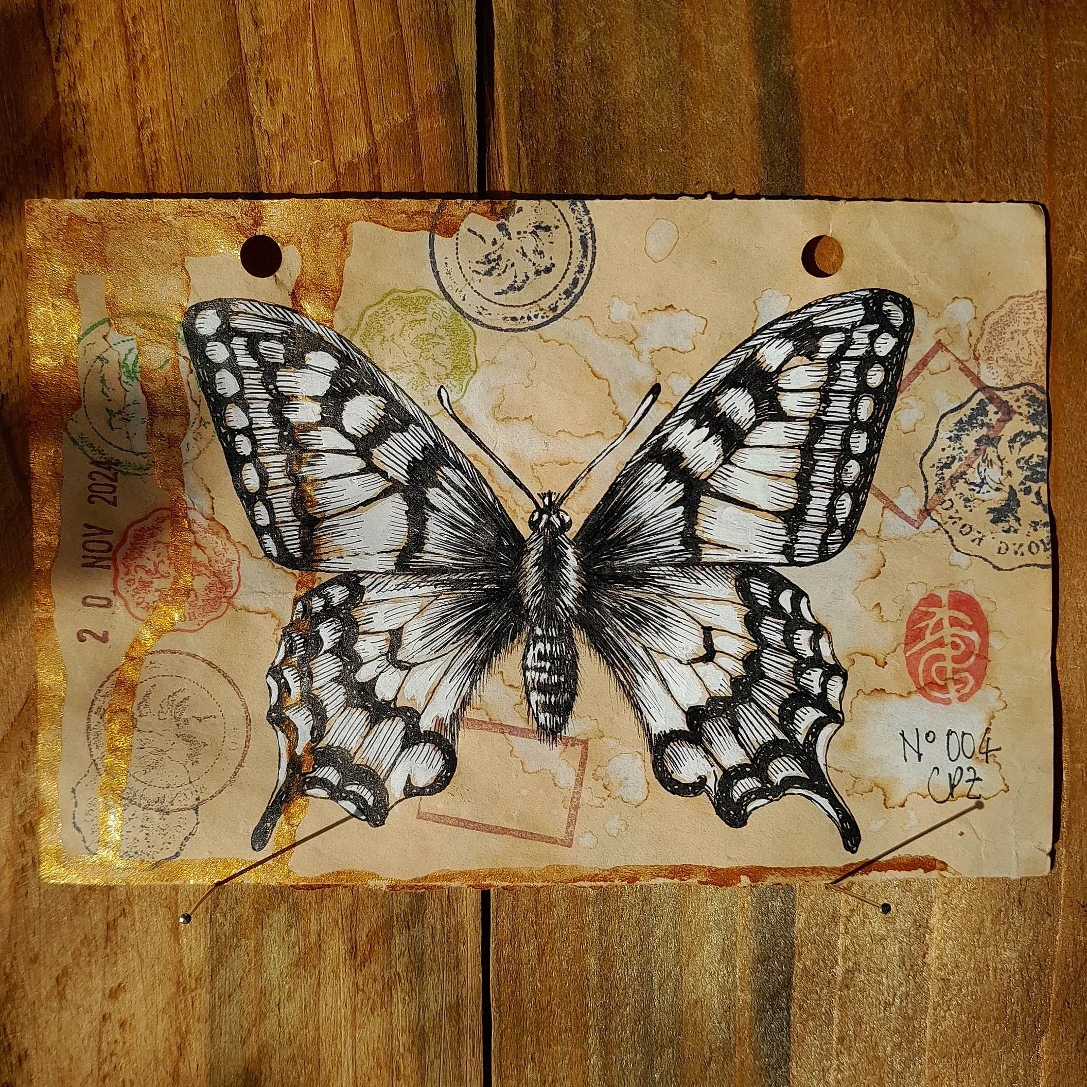 Papilio machaon #004