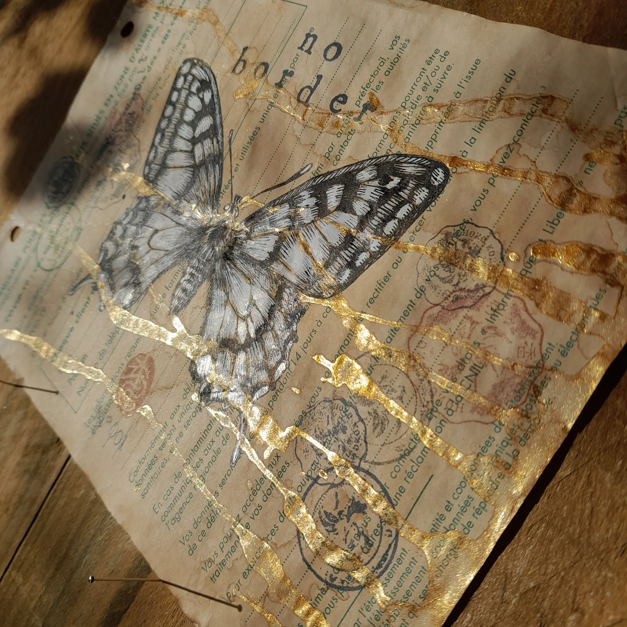 Papilio Machaon #001