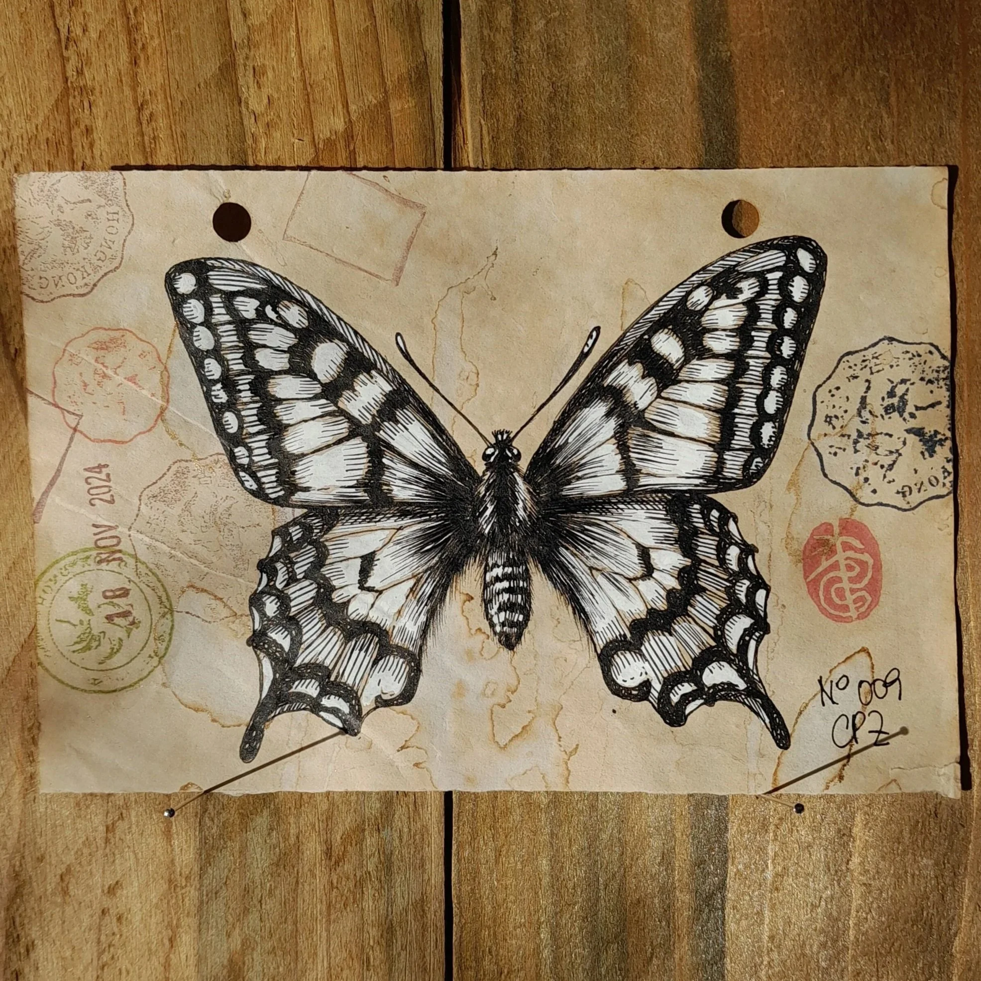 Papilio Machaon #009