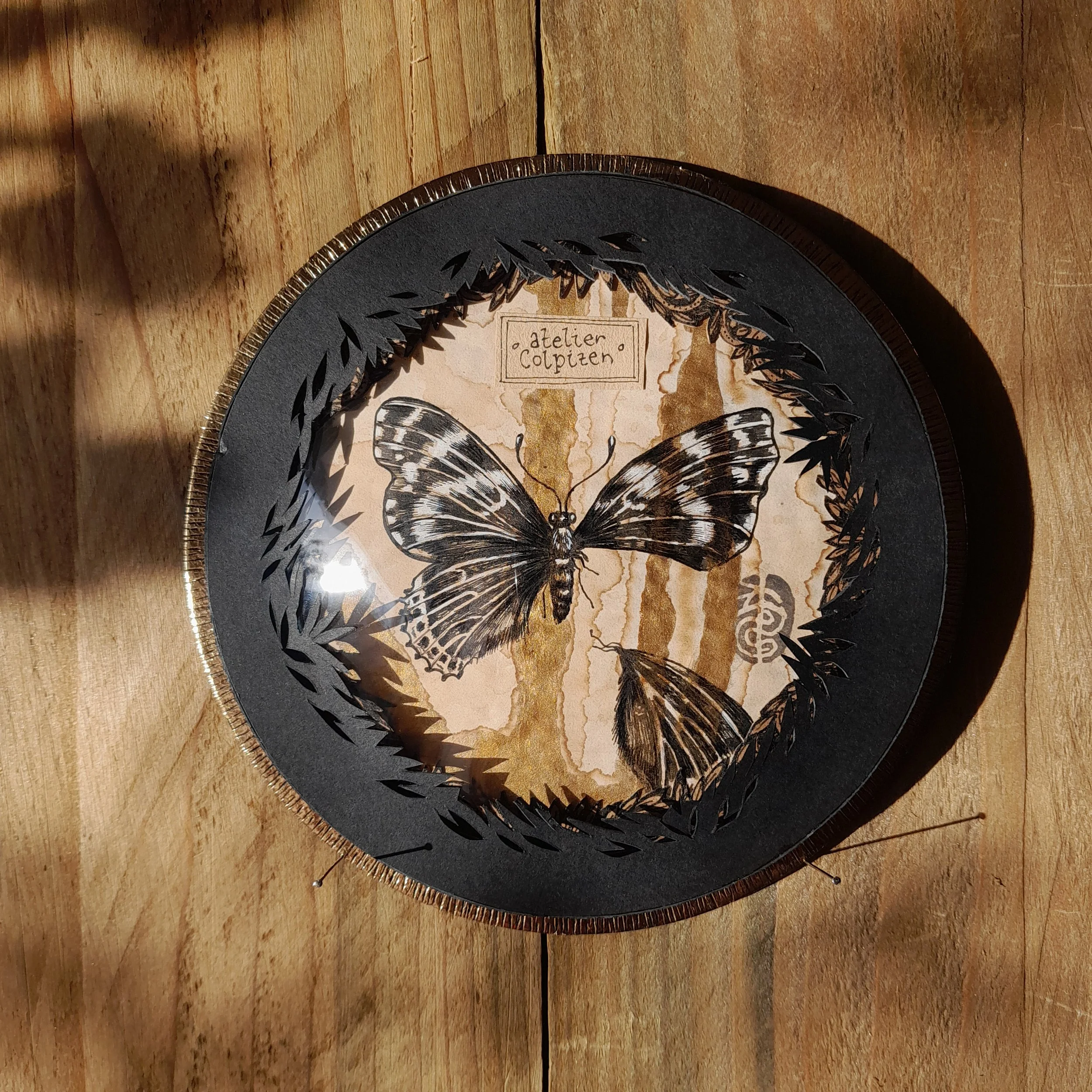 Vanessa cardui Bubble #001