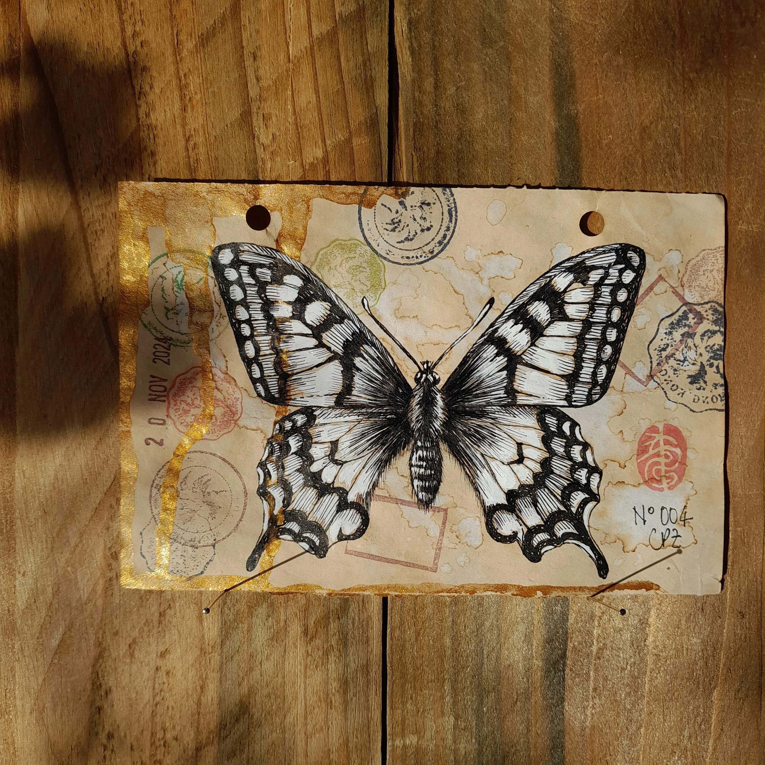Papilio machaon #004