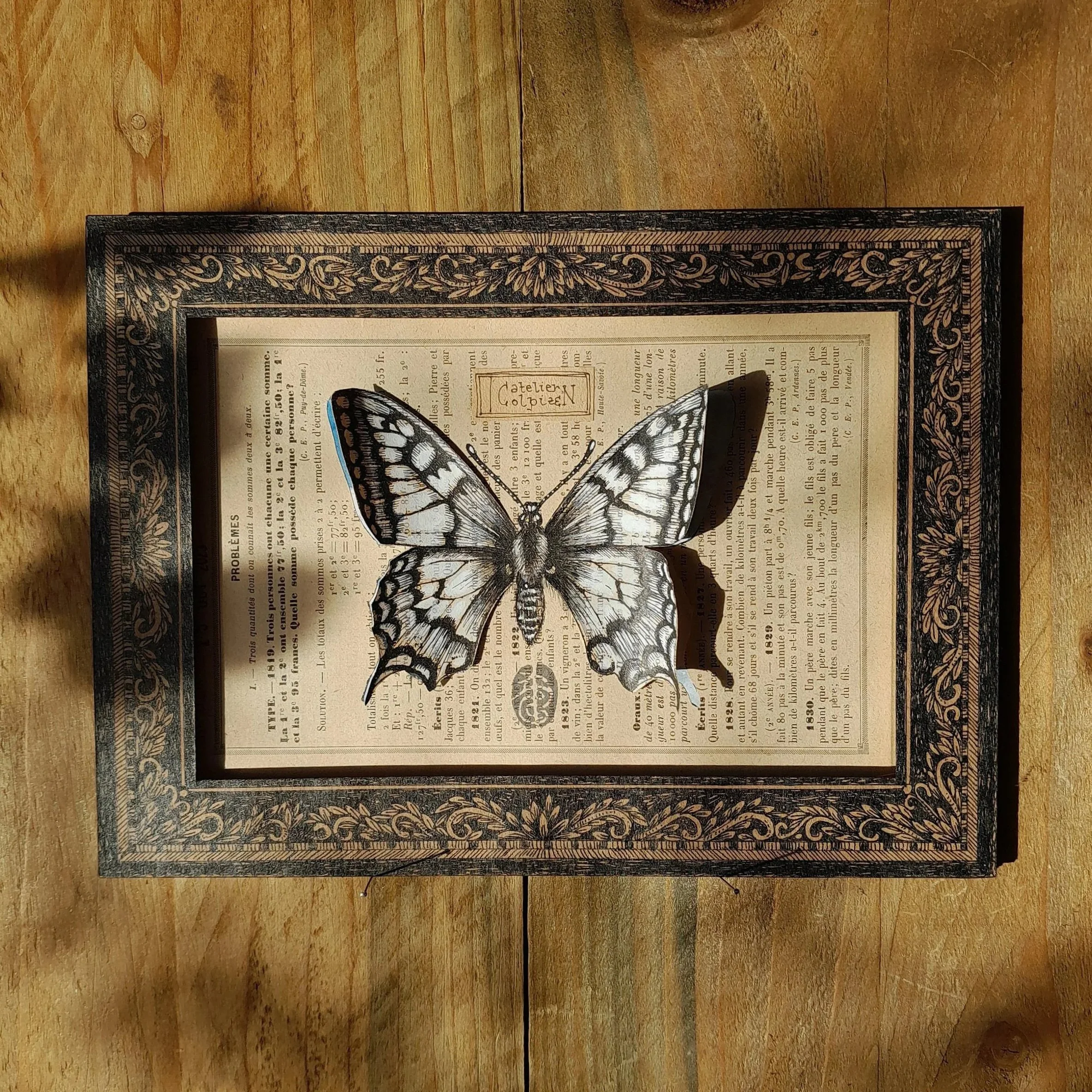 Papilio machaon "L'échappée" #001