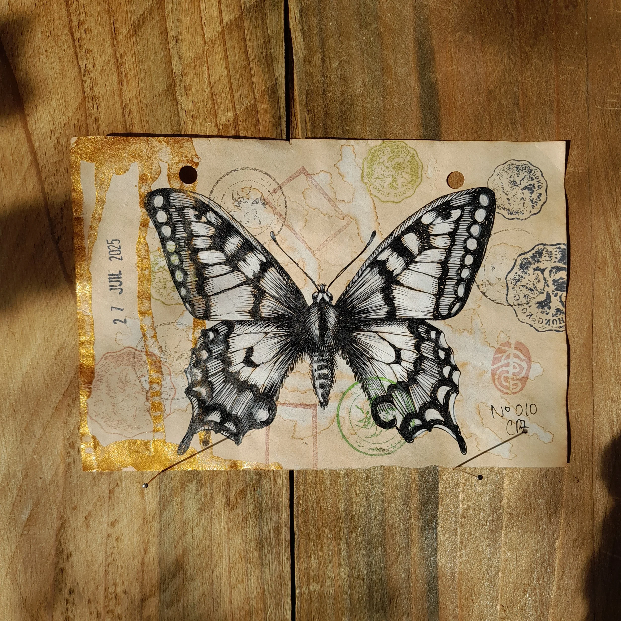 Papilio machaon #010