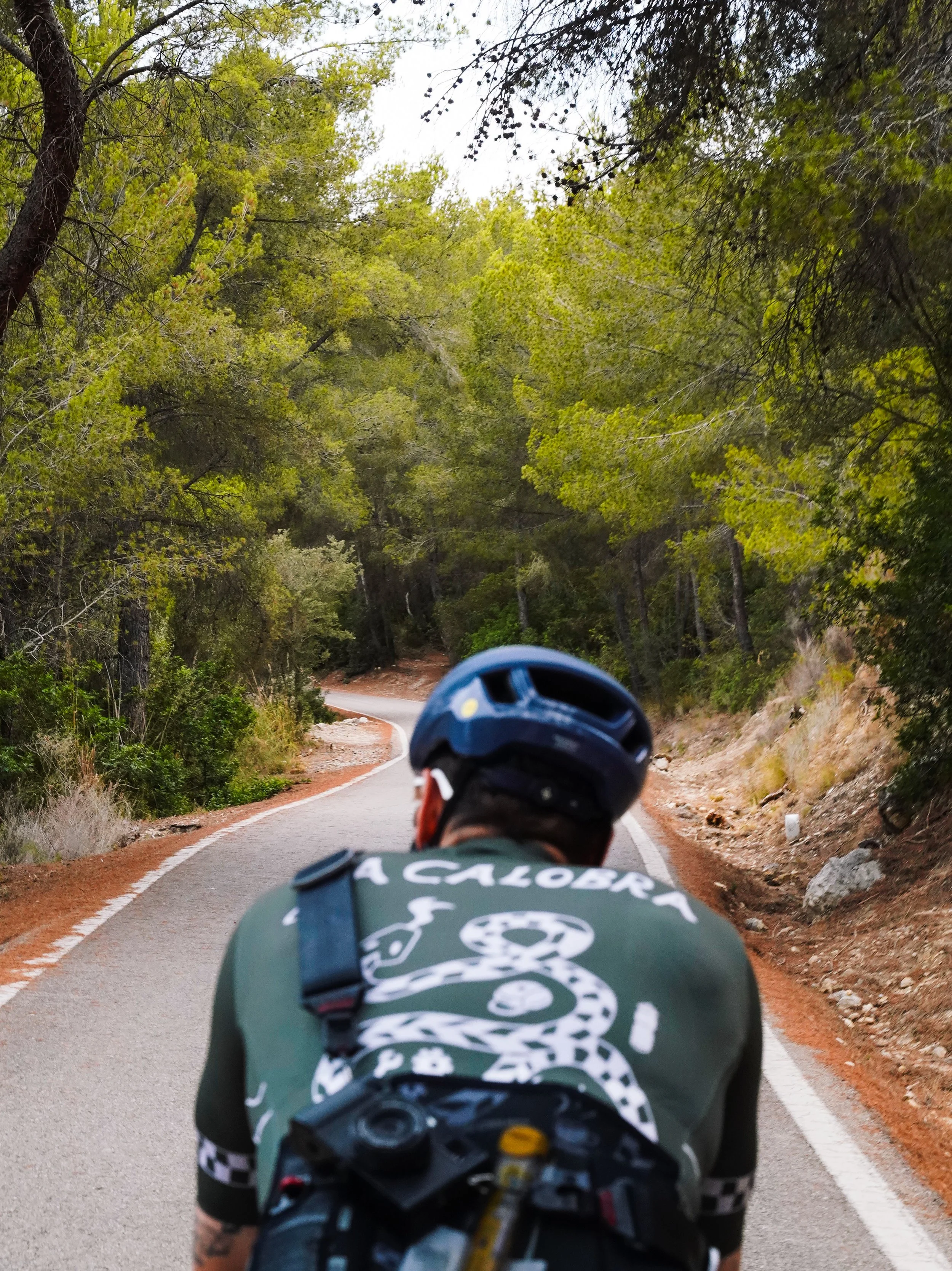A cyclist wearing a helmet and sports gear riding a mountain bike on a winding road through a forest with green trees.