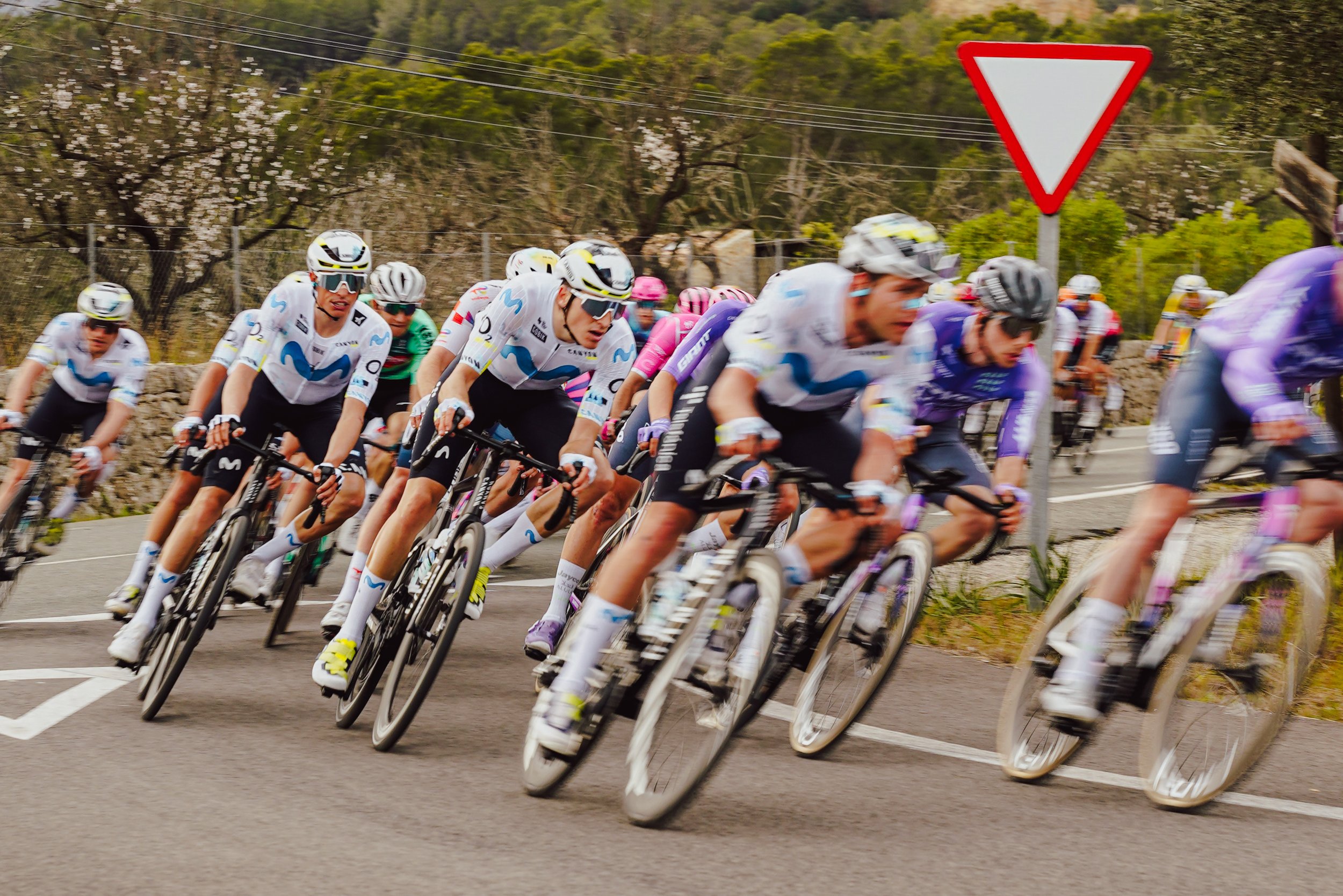 A group of cyclists participating in a race on a rural road with trees and a stone wall in the background, and a yield sign on the roadside.