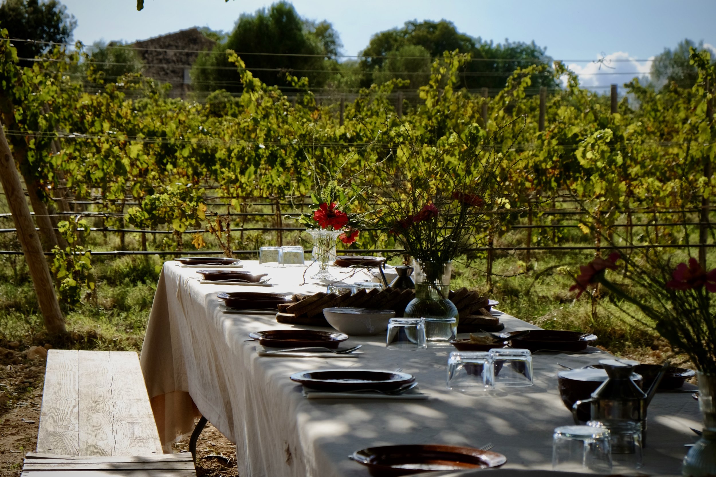 A long outdoor dining table set with plates, wine glasses, and cutlery, decorated with vases of flowers, situated in a vineyard on a sunny day.