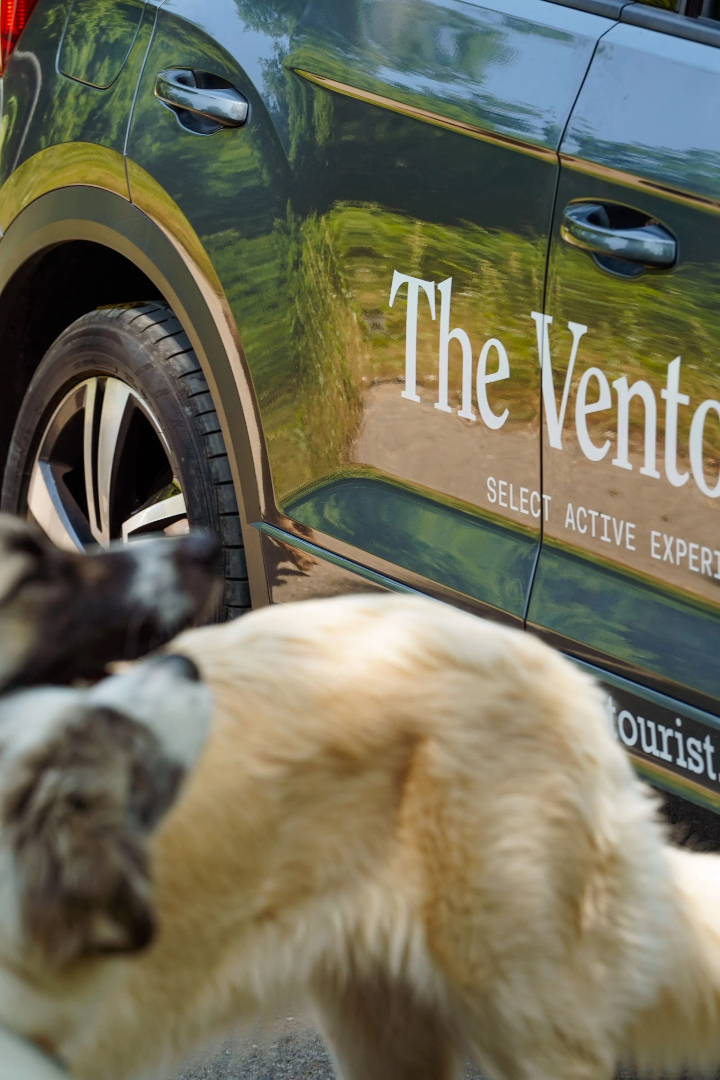 the ventourist-12.jpg